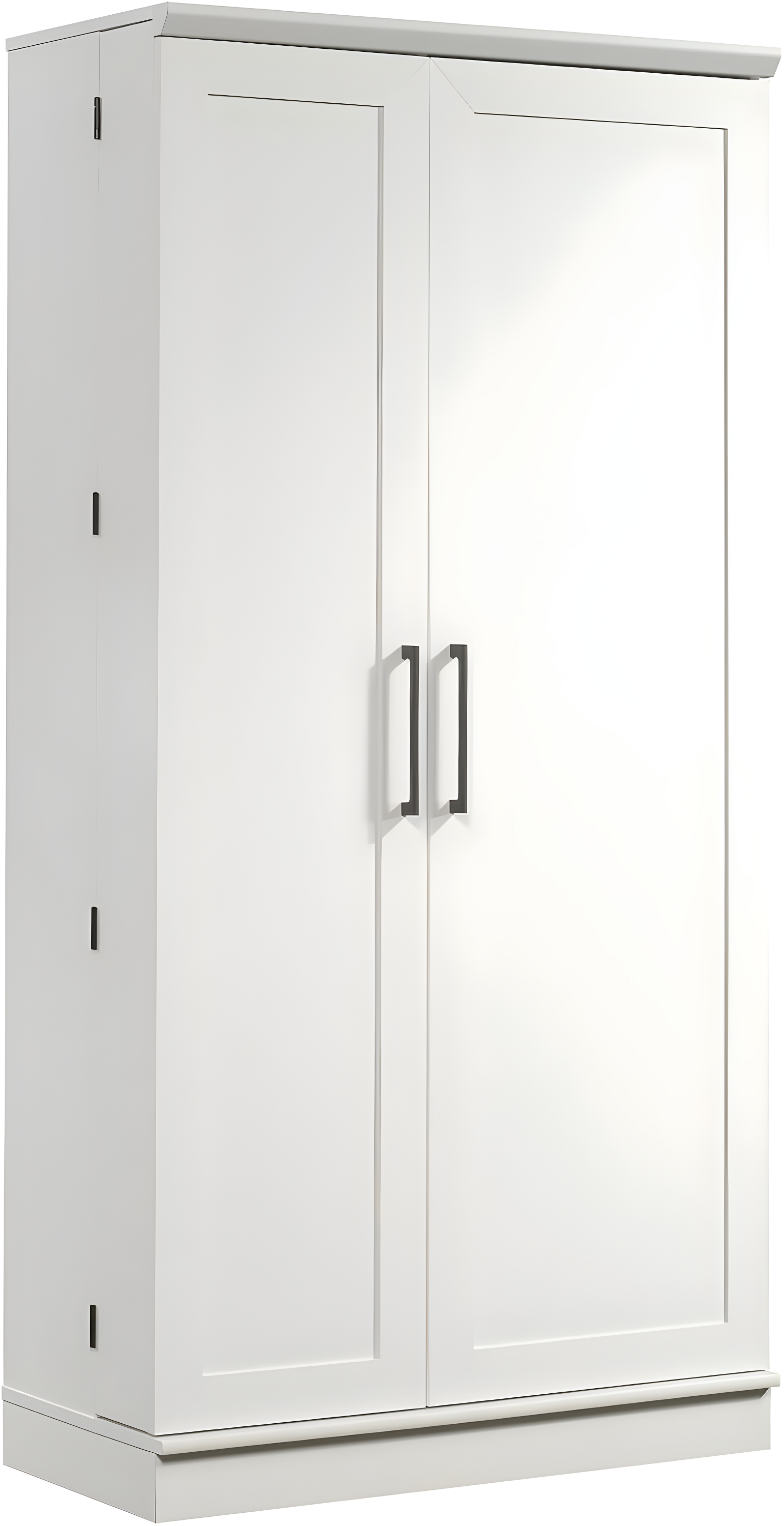 Sauder Homeplus Storage Cabinet Sw 3A