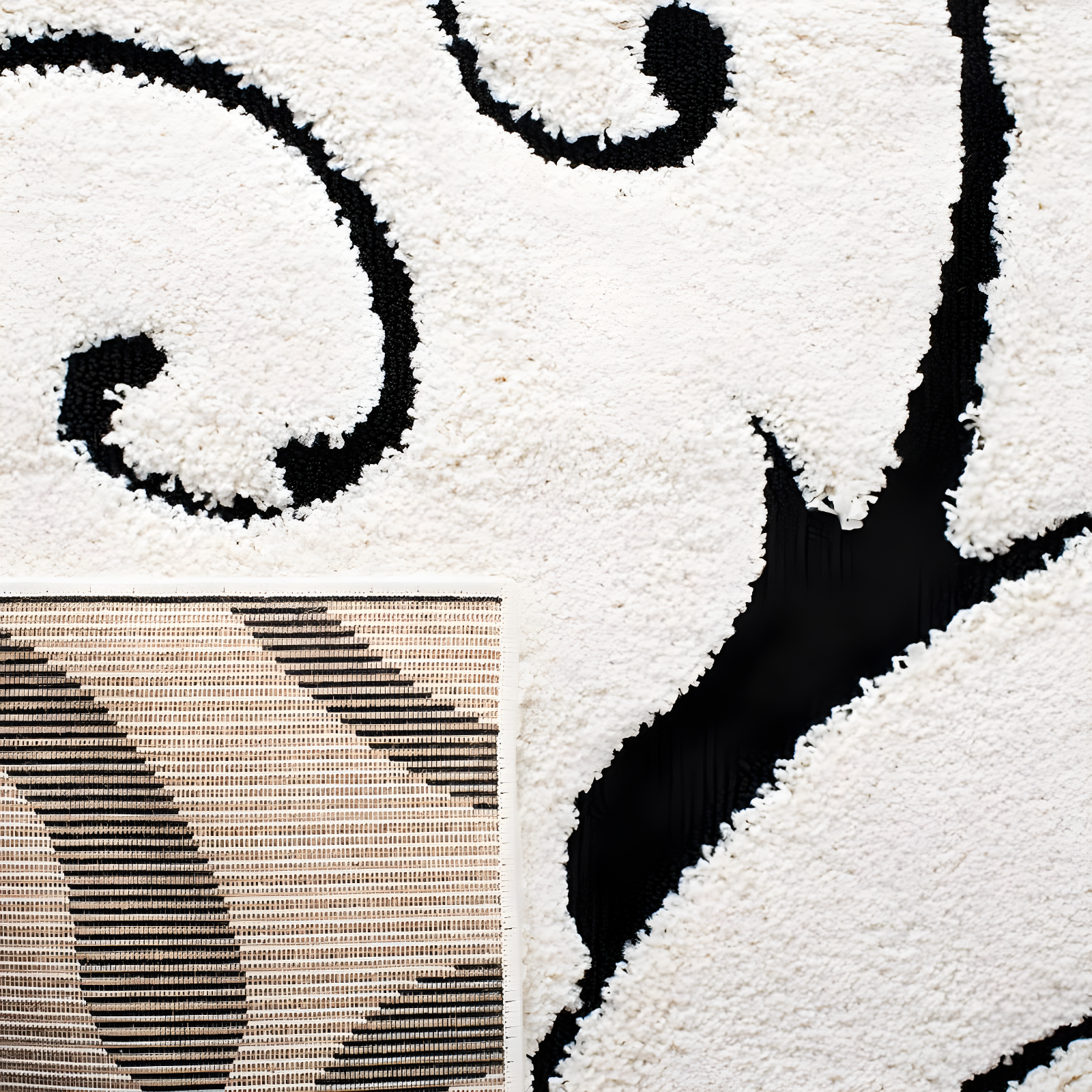 Florida Shag SG455 Power Loomed Area Rug - Ivory/Black - 4'x4' - Safavieh.