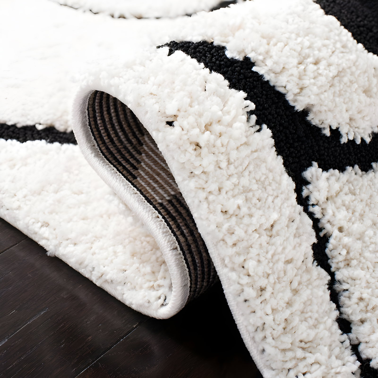 Florida Shag SG455 Power Loomed Area Rug - Ivory/Black - 4'x4' - Safavieh.