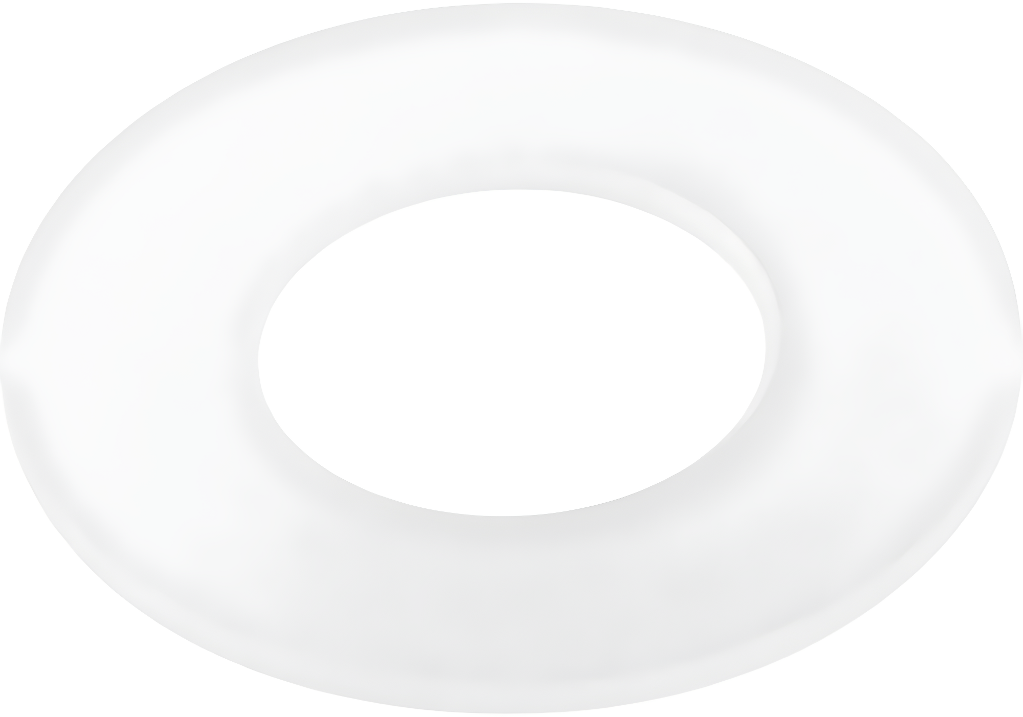 Dual Flush Canister Seal