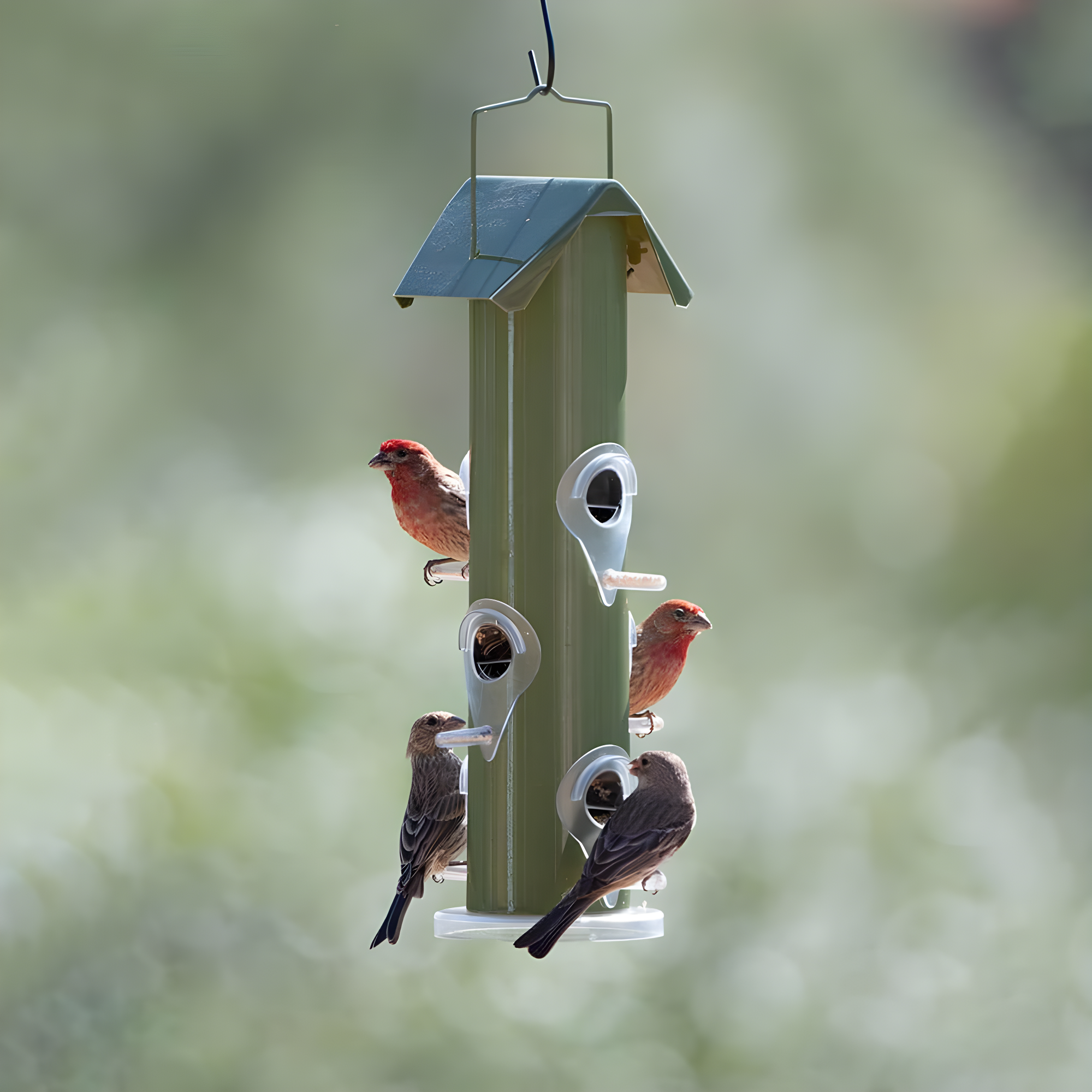 Perky-Pet Green Metal Wild Bird Tube Feeder - 1 lb Capacity