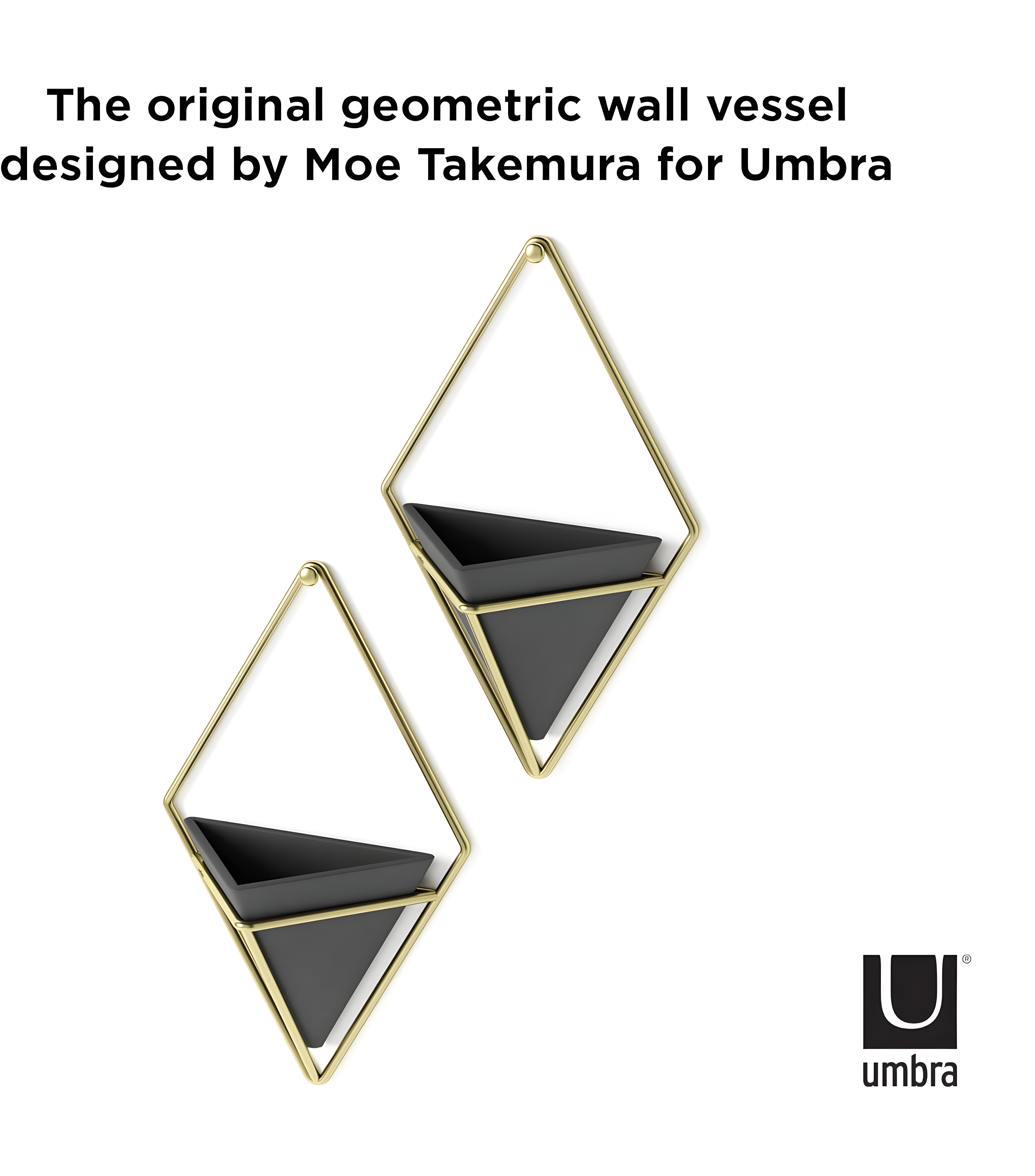 Trigg Wall Décor (Set of 2)