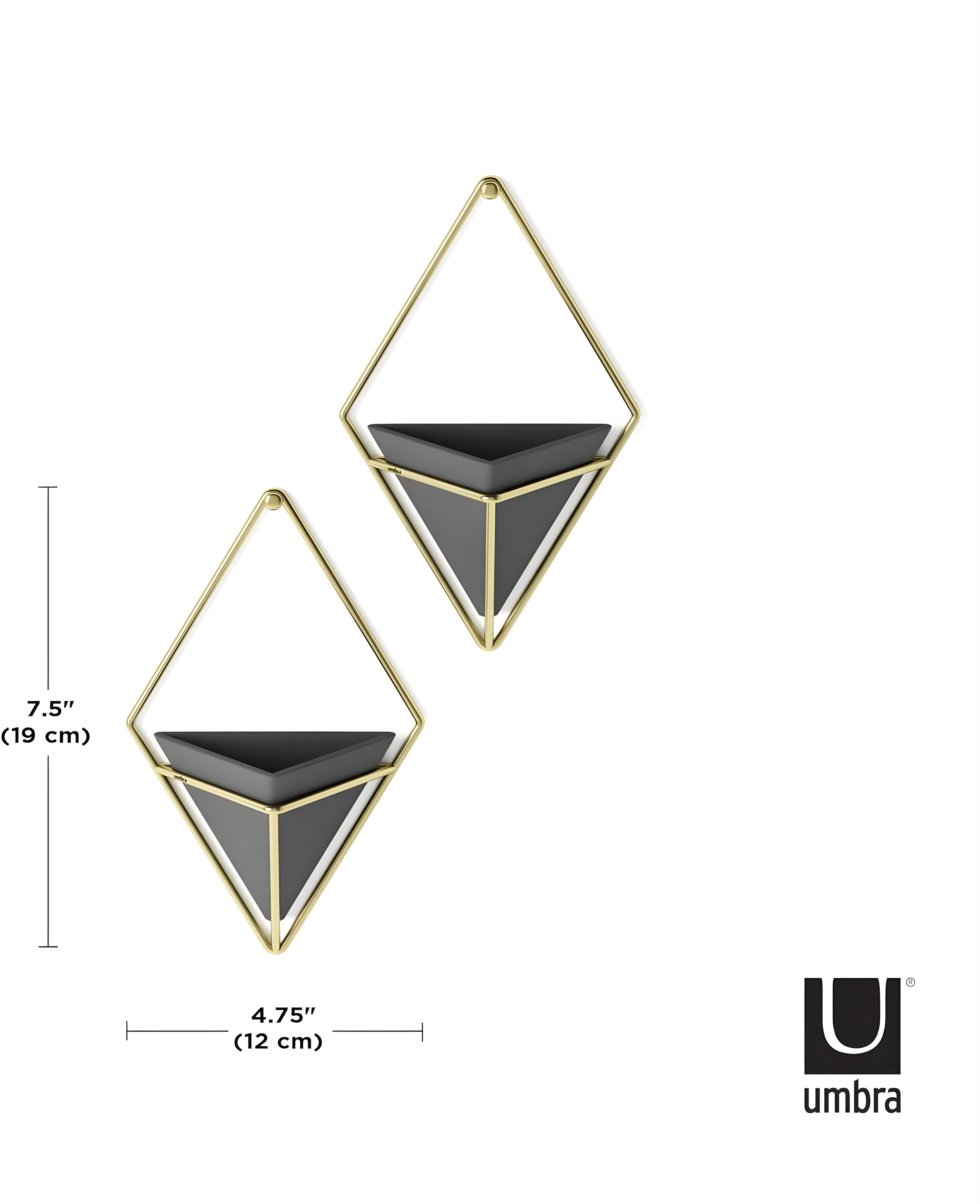 Trigg Wall Décor (Set of 2)