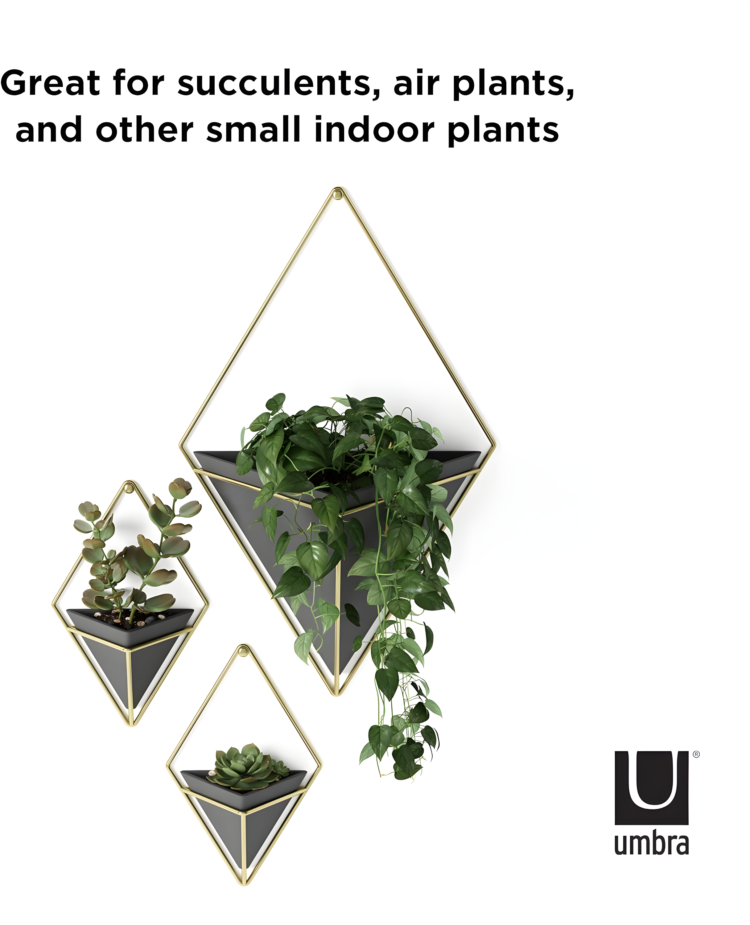 Trigg Wall Décor (Set of 2)