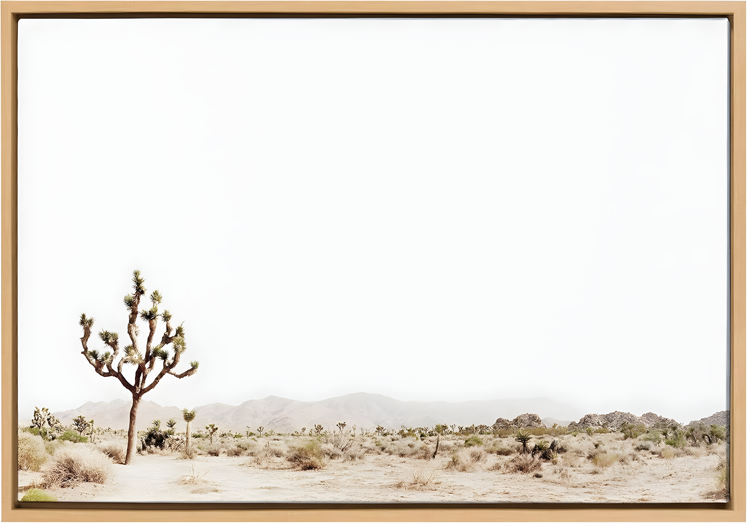 Kate and Laurel Sylvie Lone Joshua Tree Framed Canvas by Amy Peterson Art Studio, 23x33, Natural