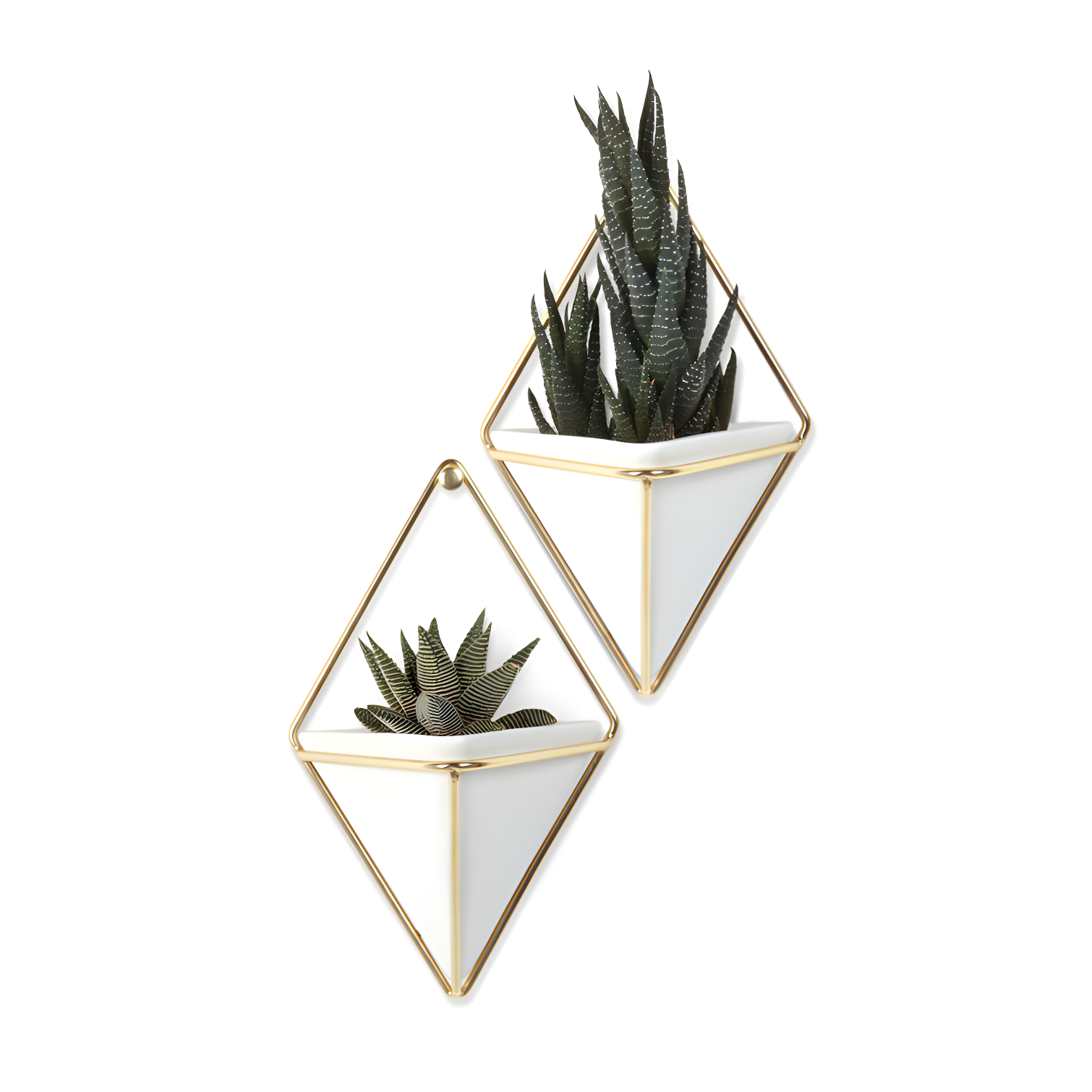 Trigg Wall Décor