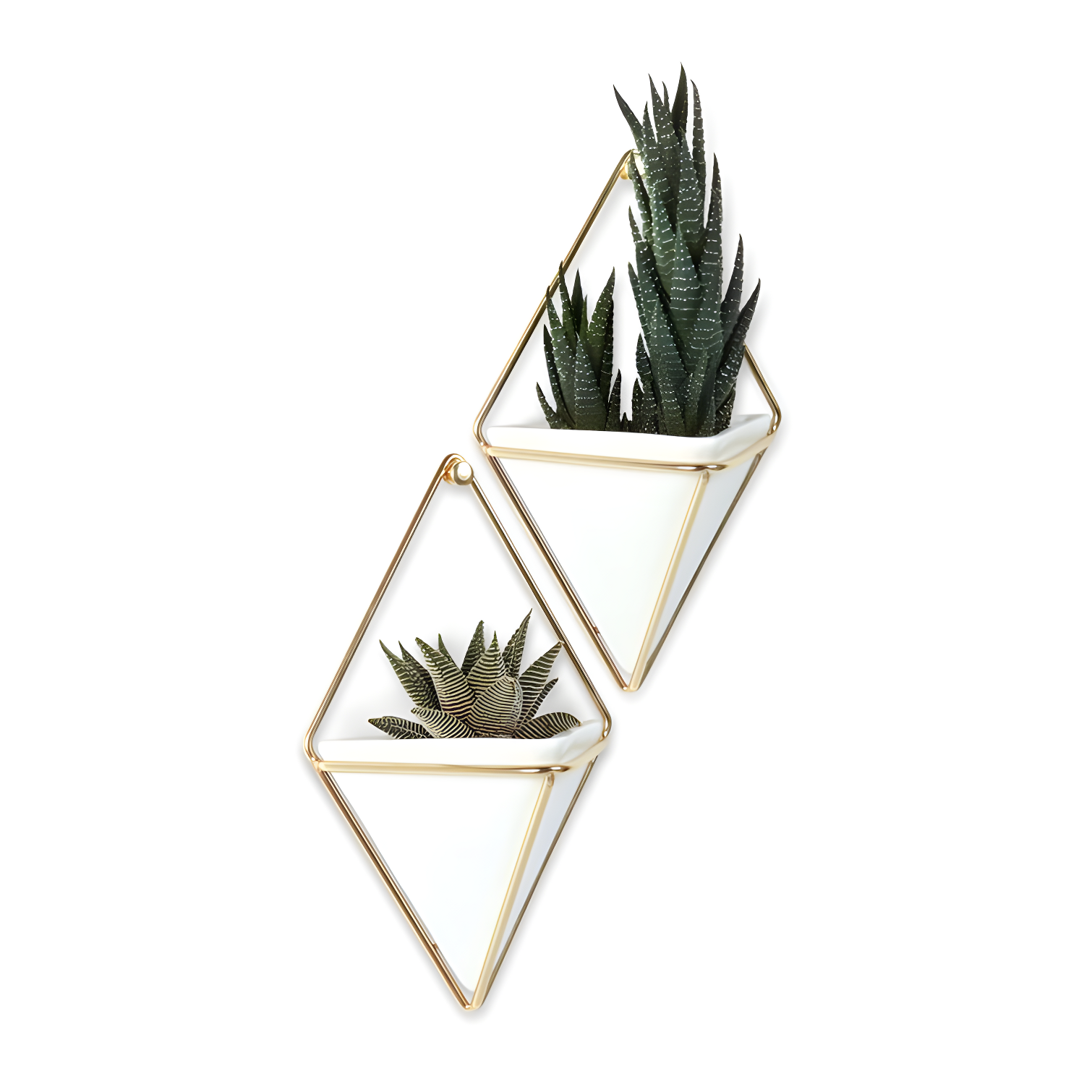 Trigg Wall Décor