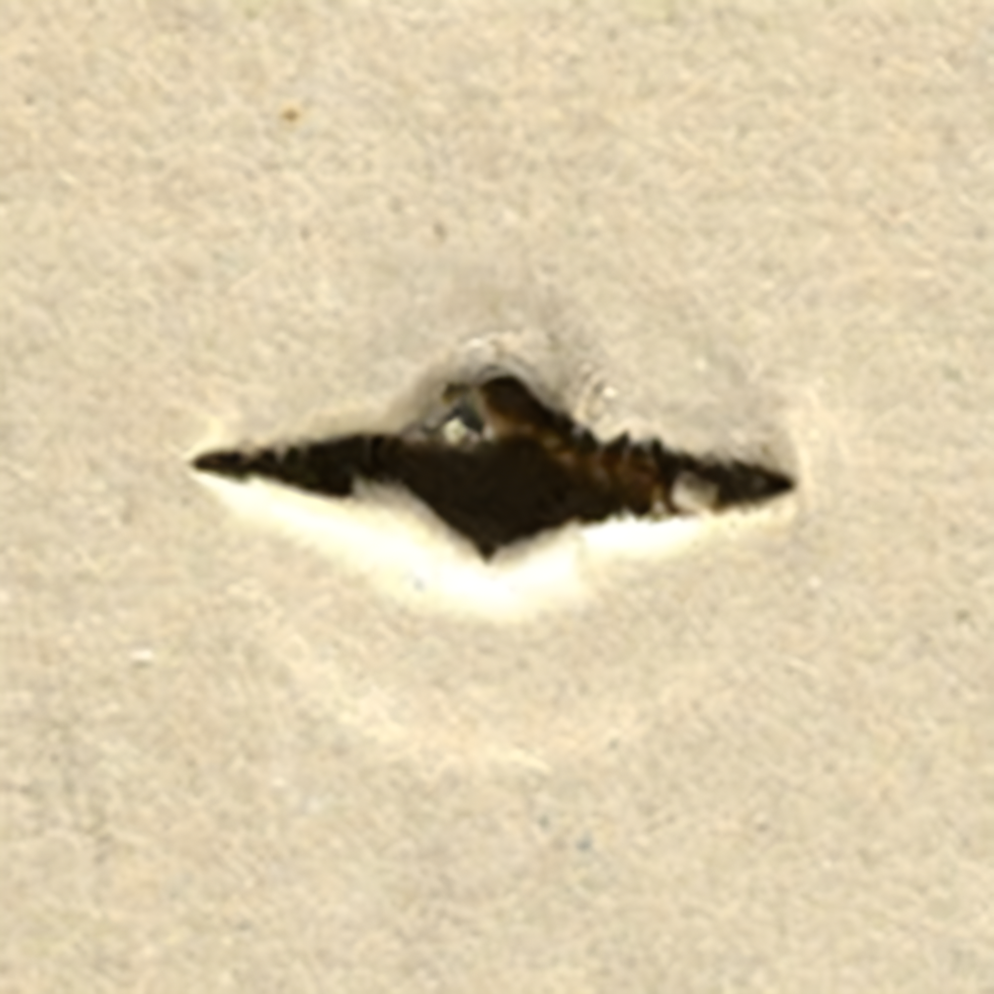 WallClaw LOC-N-LOAD Hammer-In Drywall Anchors - 10 PACK