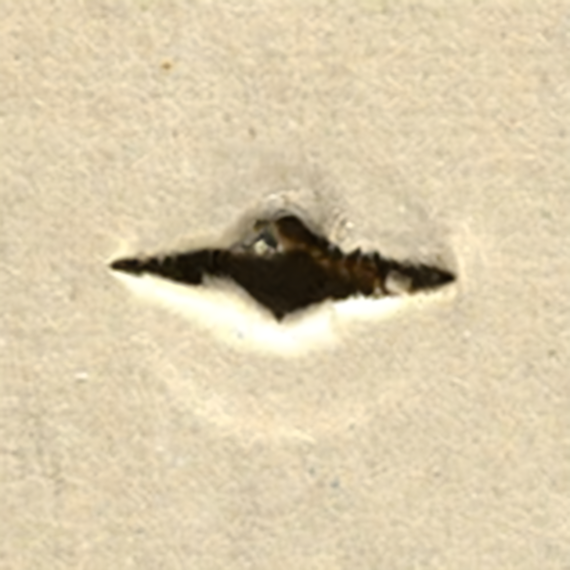 WallClaw LOC-N-LOAD Hammer-In Drywall Anchors - 10 PACK