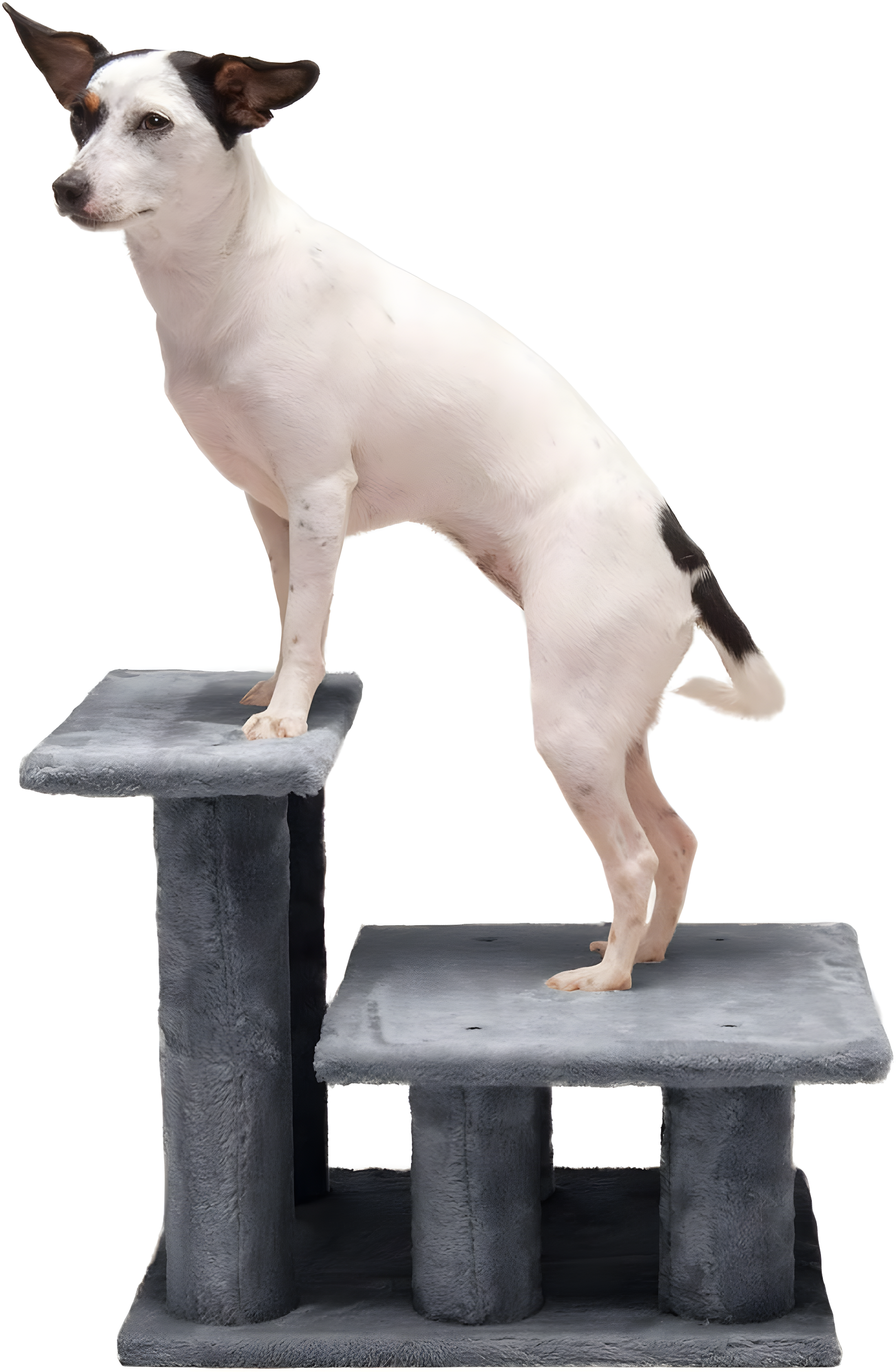 Multi-Step Pet Stairs For High Beds And Sofas,Gray, 3-Step