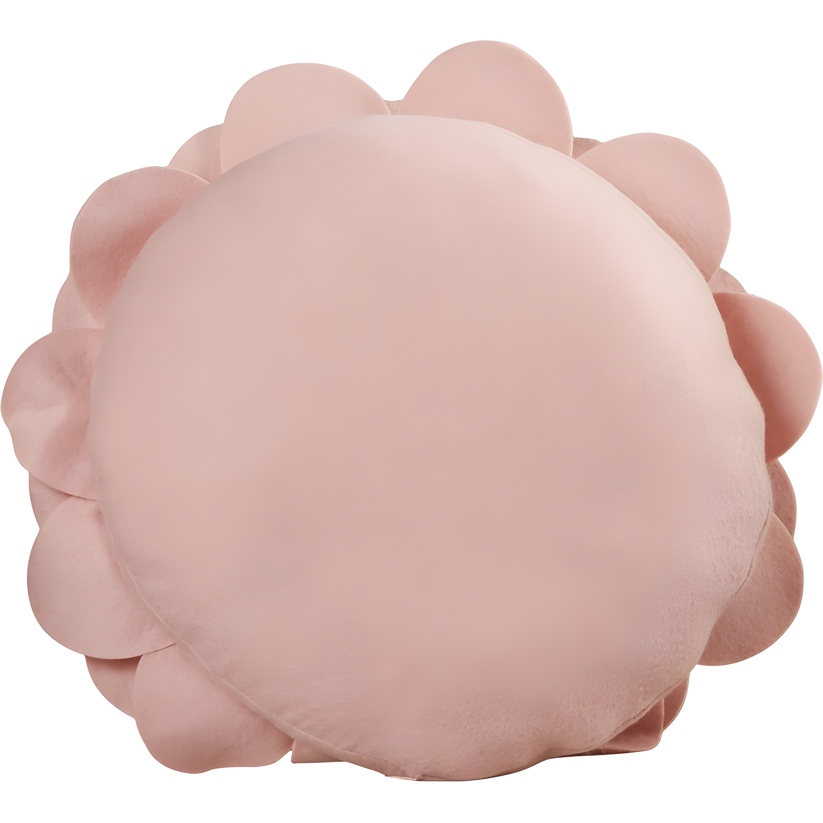 Flower Appliqued Felt Throw Pillow
