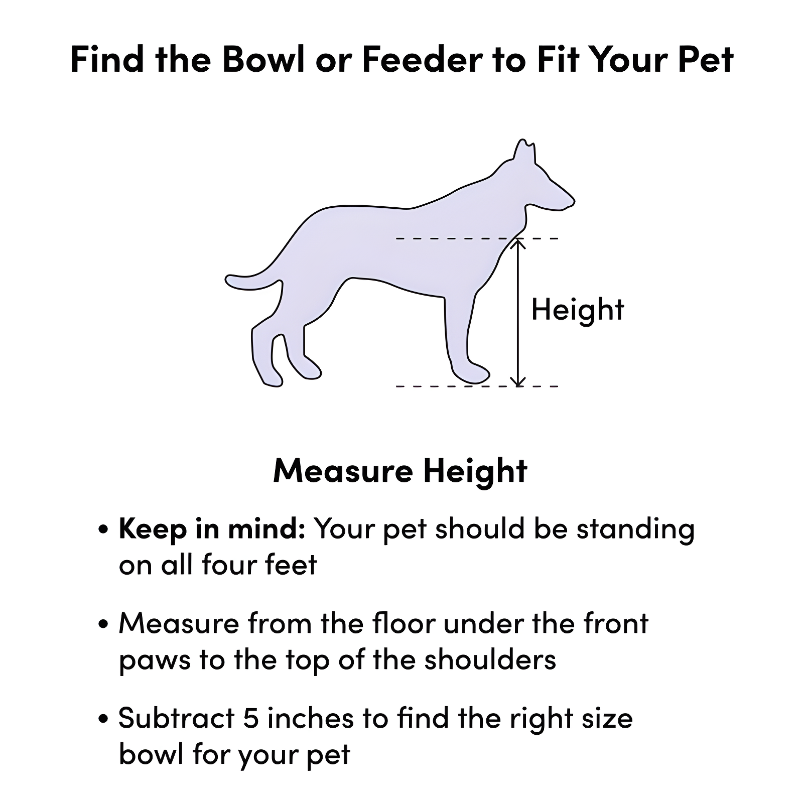 Design Imports Anti-Skid Pet Bowl