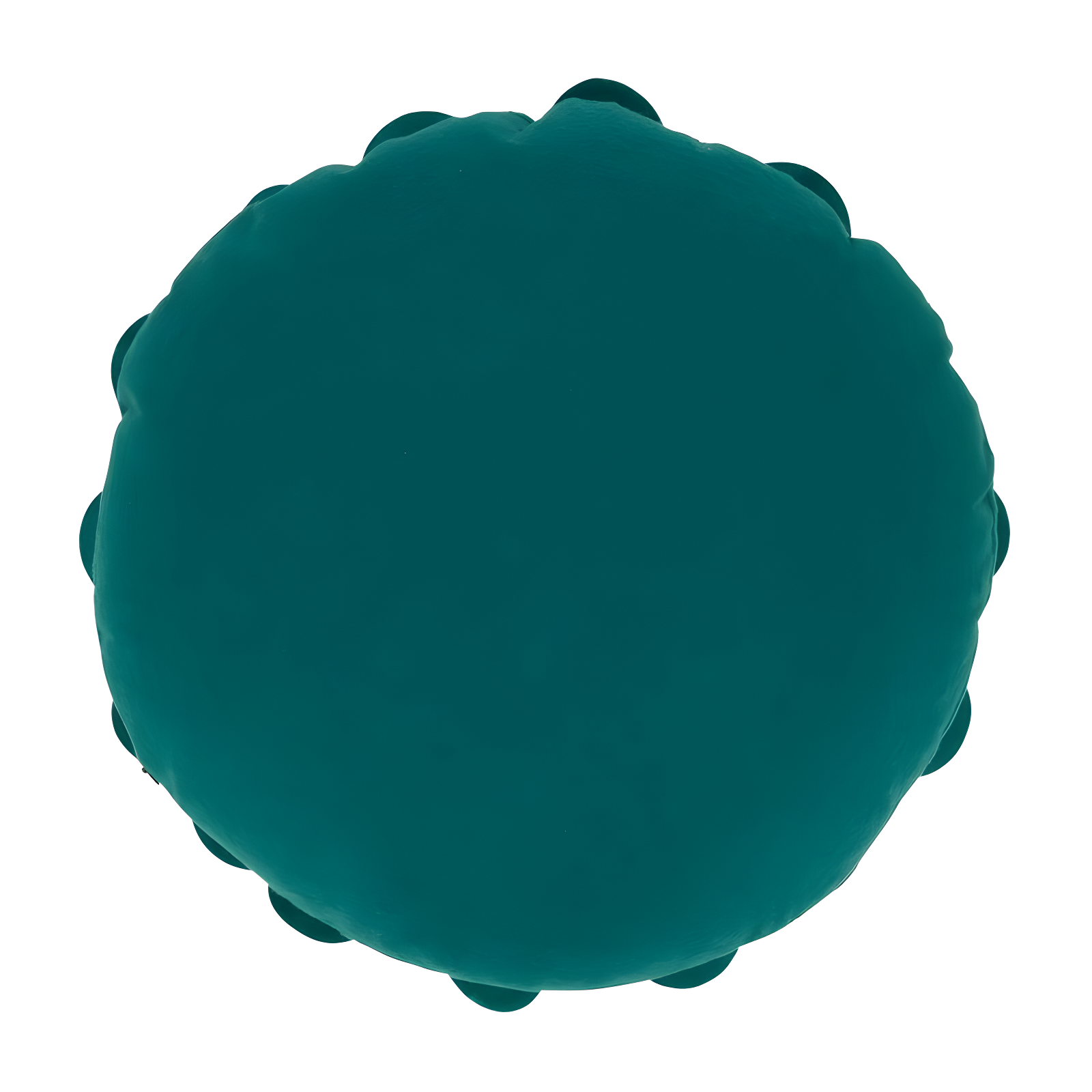 Flower Appliqued Felt Throw Pillow