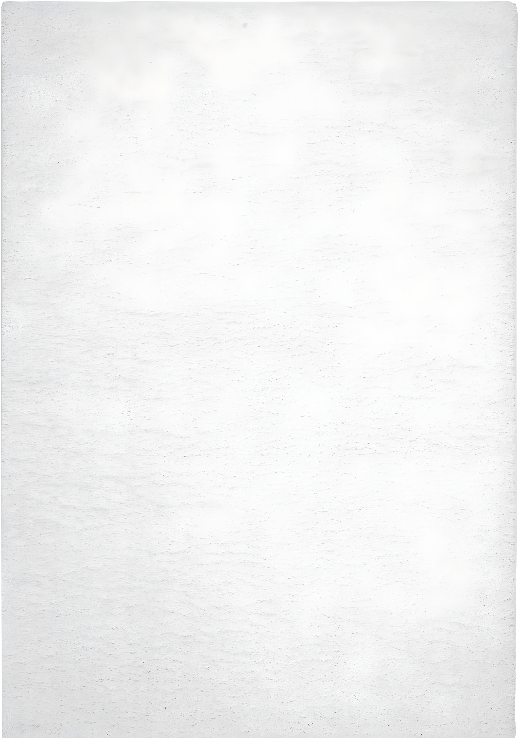 SAFAVIEH August Carlene Solid Plush Shag Area Rug, White, 9' x 12'