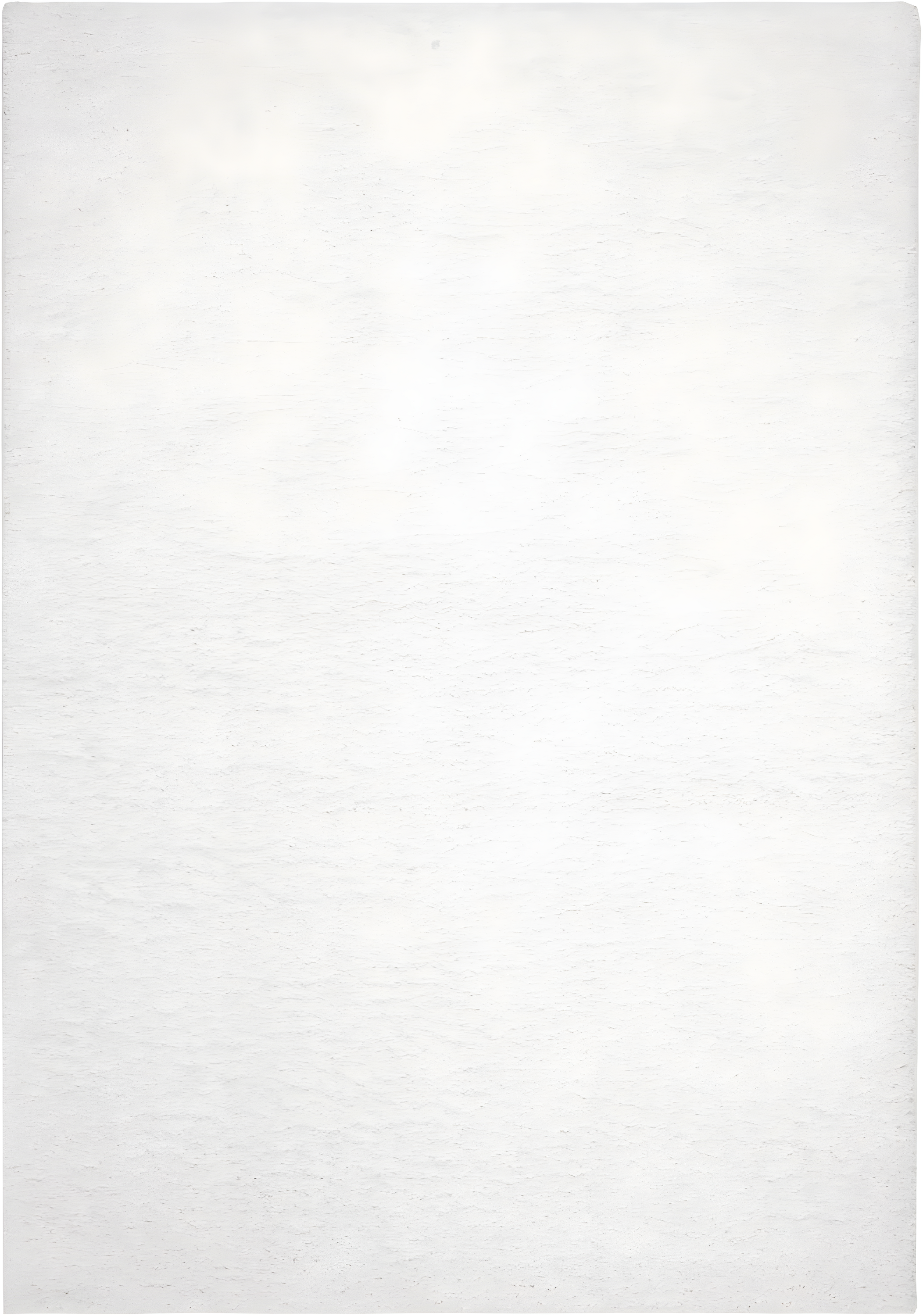 SAFAVIEH August Carlene Solid Plush Shag Area Rug, White, 9' x 12'