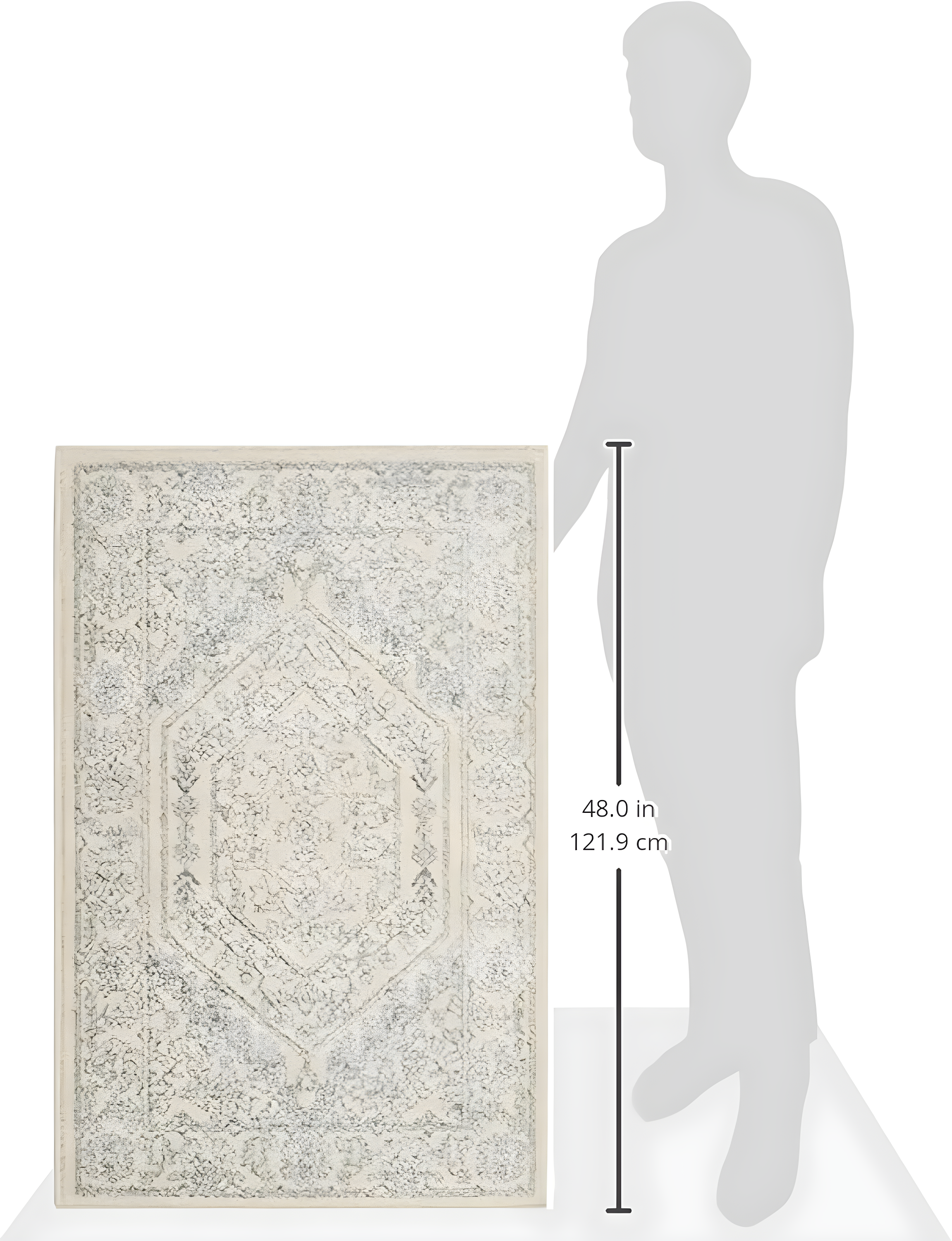 Adirondack ADR108 Machine Made Indoor Accent Rug - Ivory/Slate - 2'-6"x4' - Safavieh