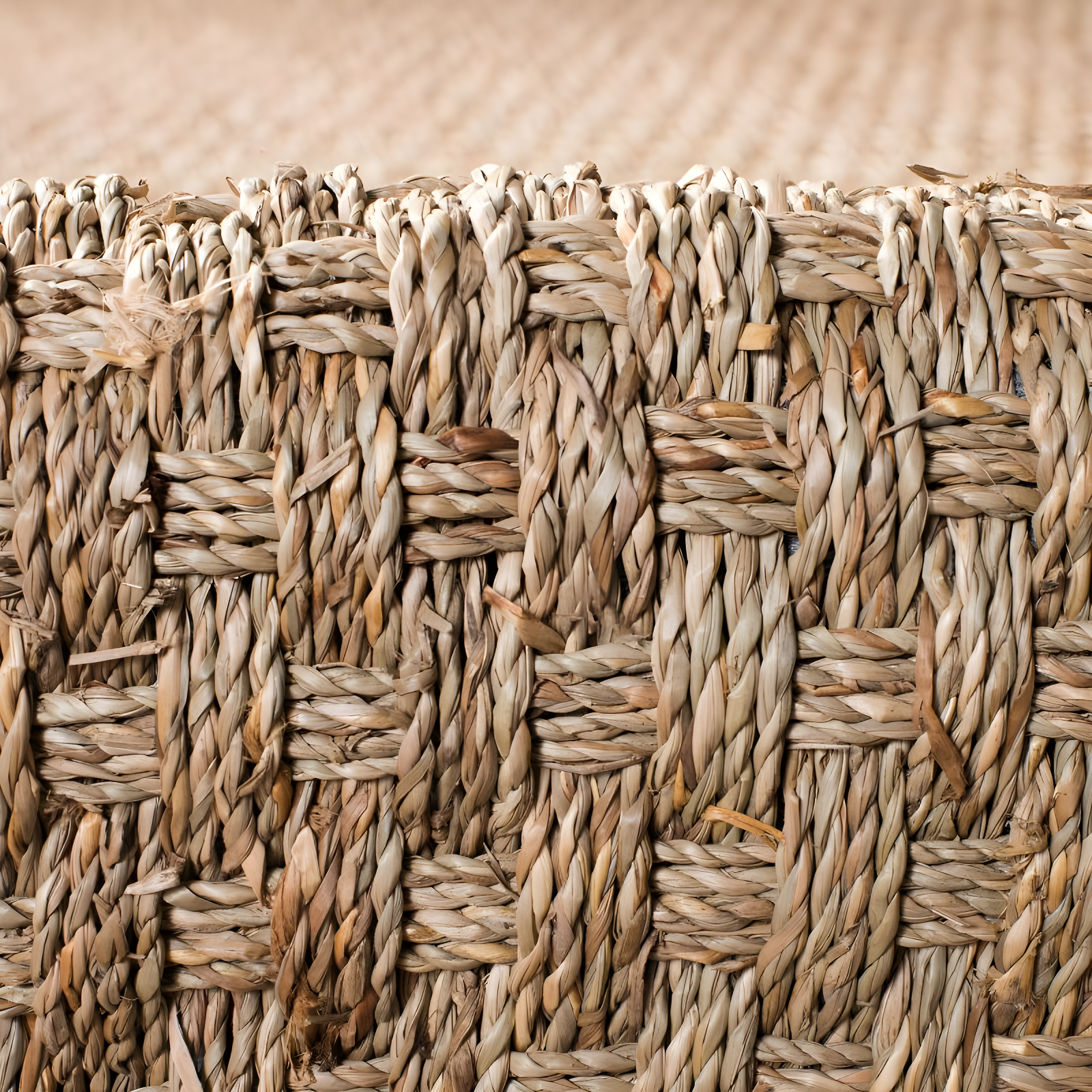 Natural Fiber NF114 Power Loomed Indoor Area Rug - Natural/Dark Brown - 8'x10' - Safavieh