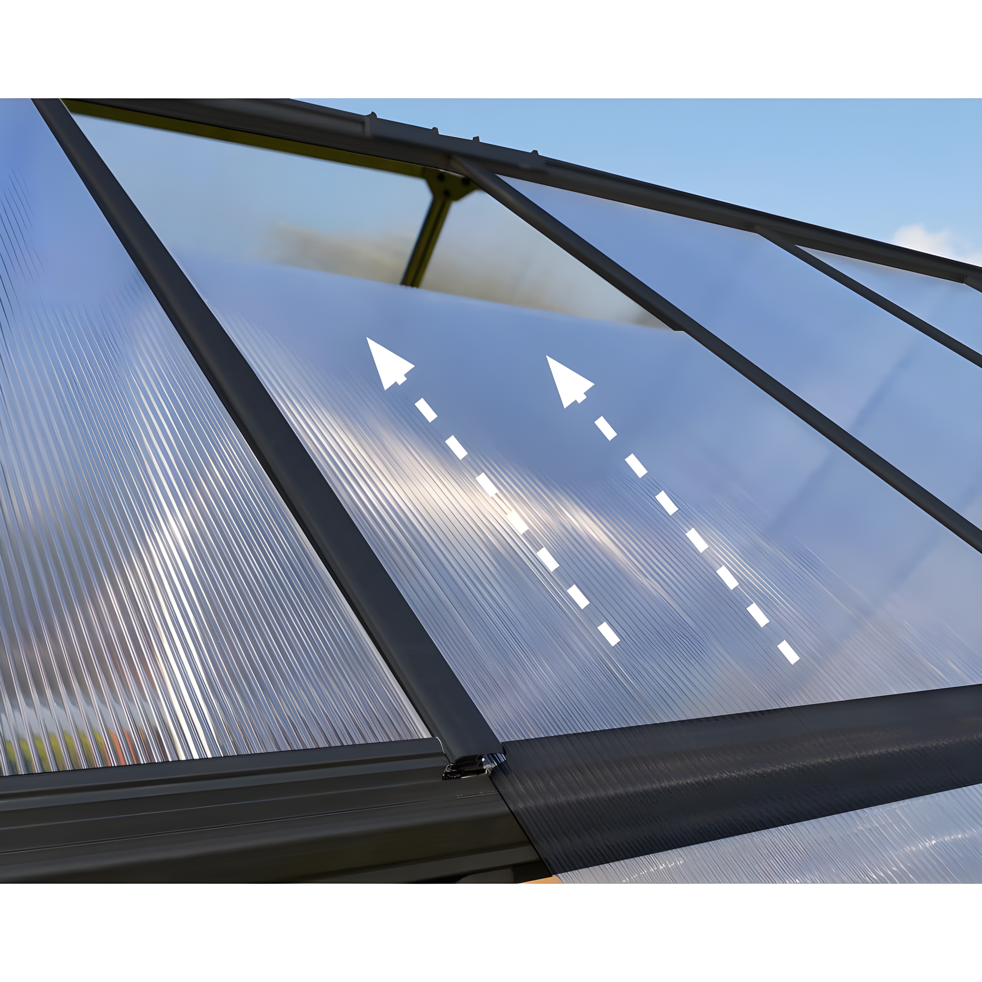 Palram - Canopia Hybrid Polycarbonate Hobby Greenhouse