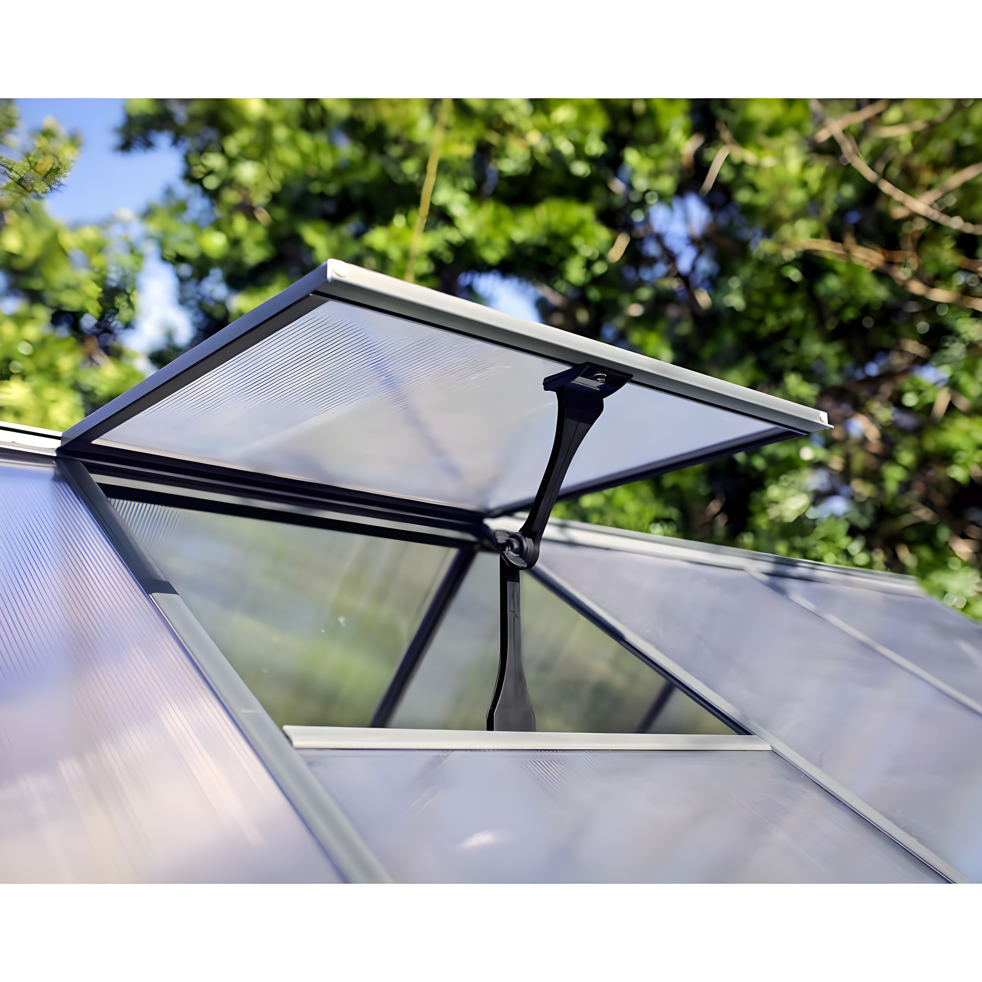 Palram - Canopia Hybrid Polycarbonate Hobby Greenhouse