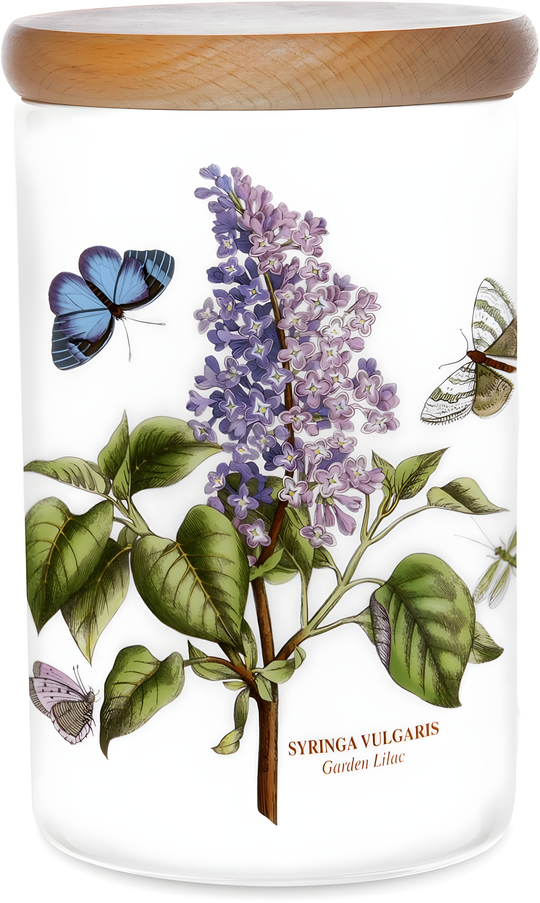 Portmeirion Portmeirion Botanic Garden 7" Airtight Canister Gdn Lilac