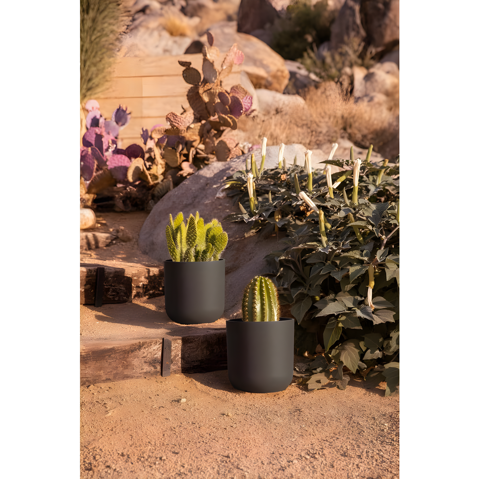 Mason Series Kona Planter