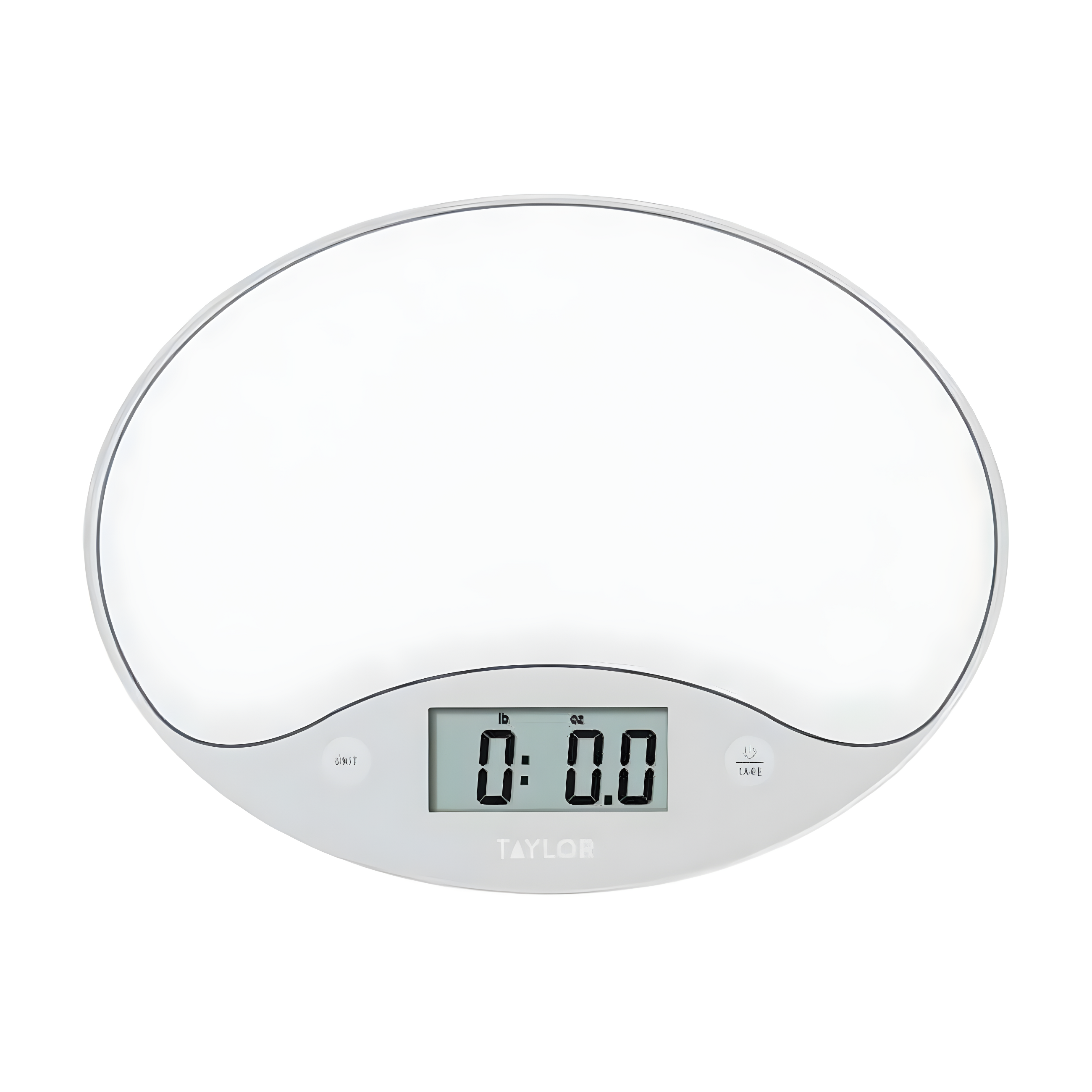Taylor 6309561 11 lbs Digital Kitchen Scale, White