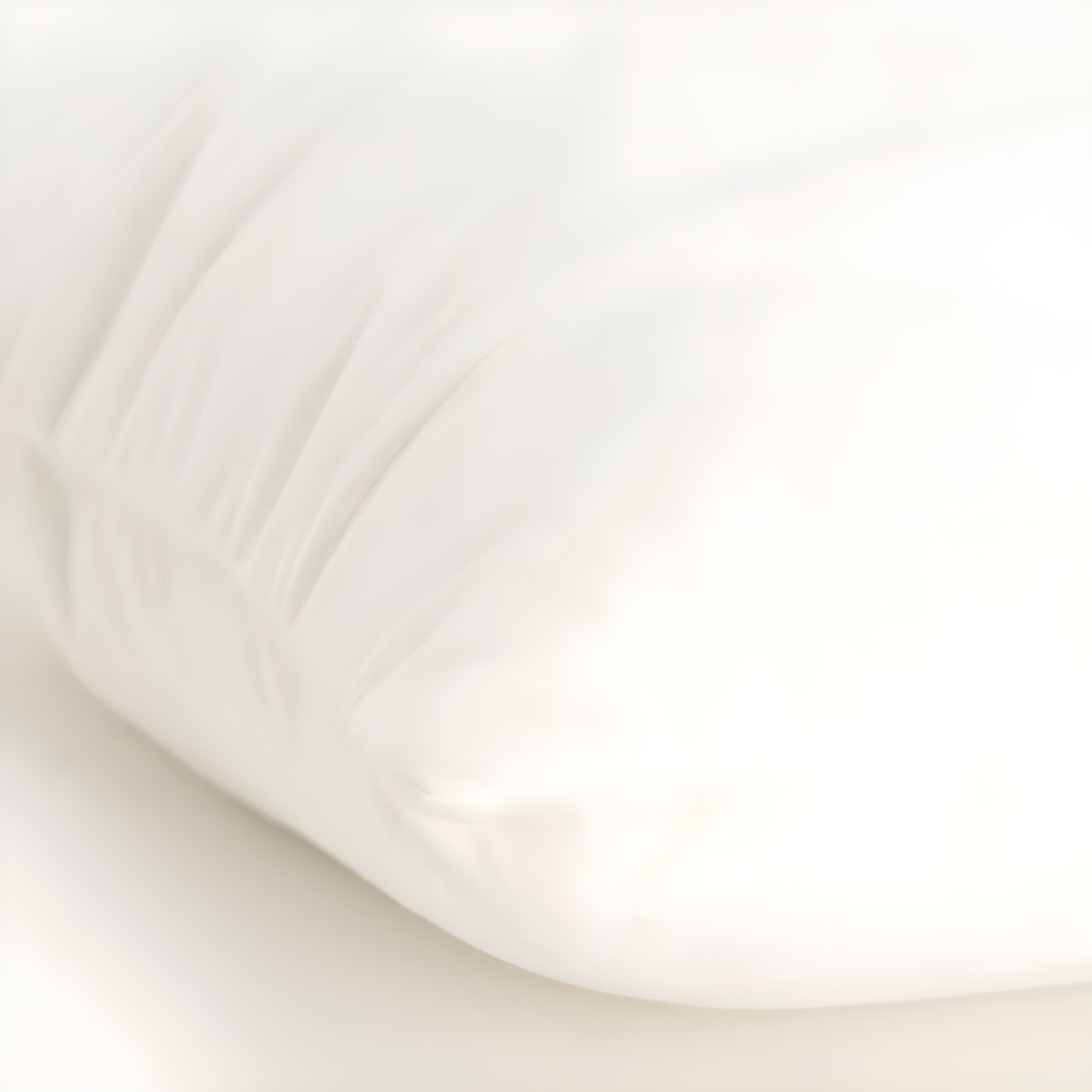 Joshelin Embroidered Cotton Throw Pillow