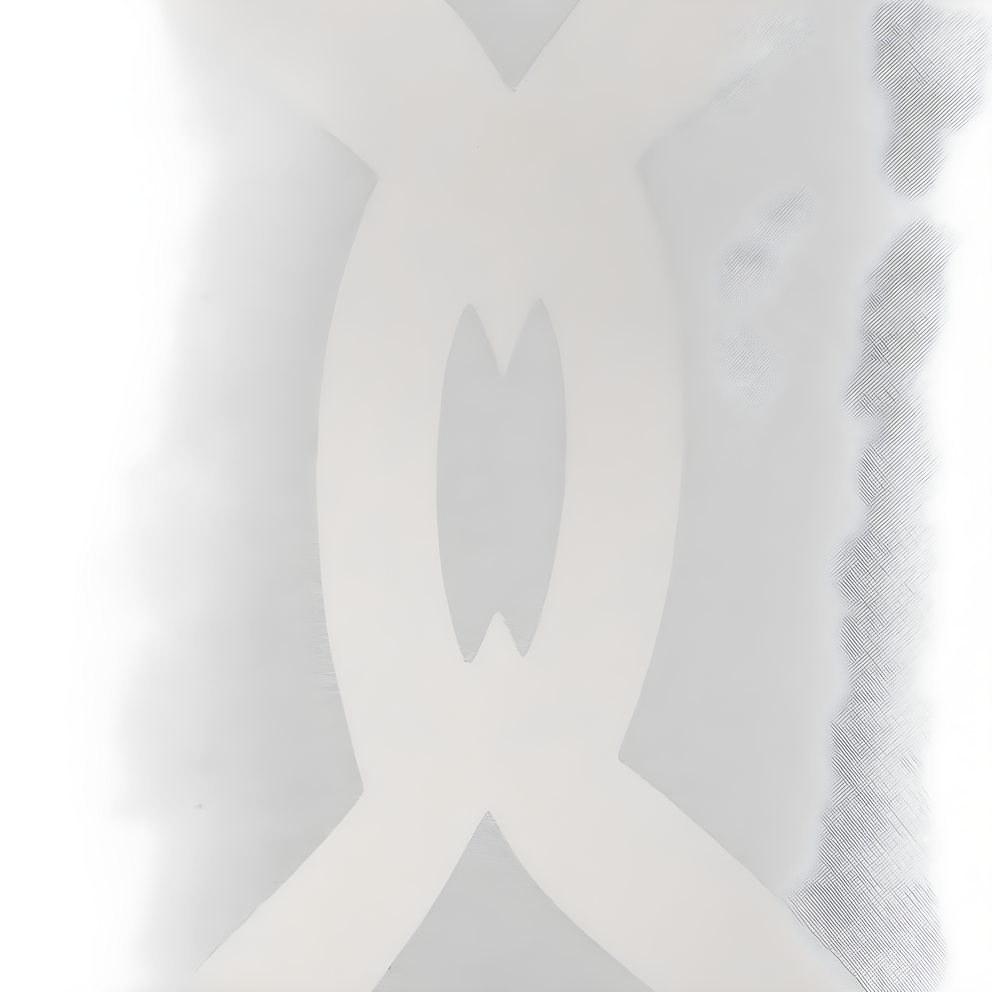Set of 2 108"x52" Rio Sheer Window Curtain Panel White - Exclusive Home: 108 Inch White Sheer Curtain Panels