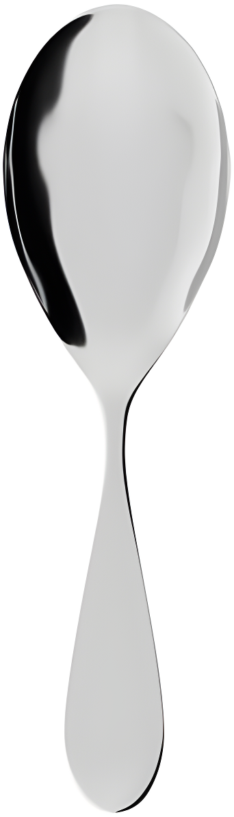 Villeroy & Boch Villeroy & Boch Sereno XXL Rice Serving Spoon