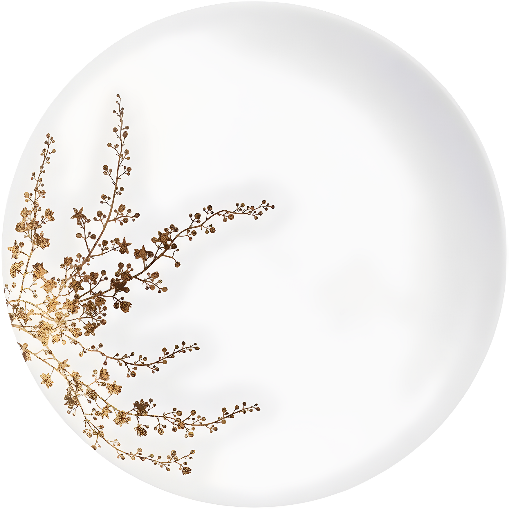 Vera Wang Vera Wang Jardin Dinner Plate