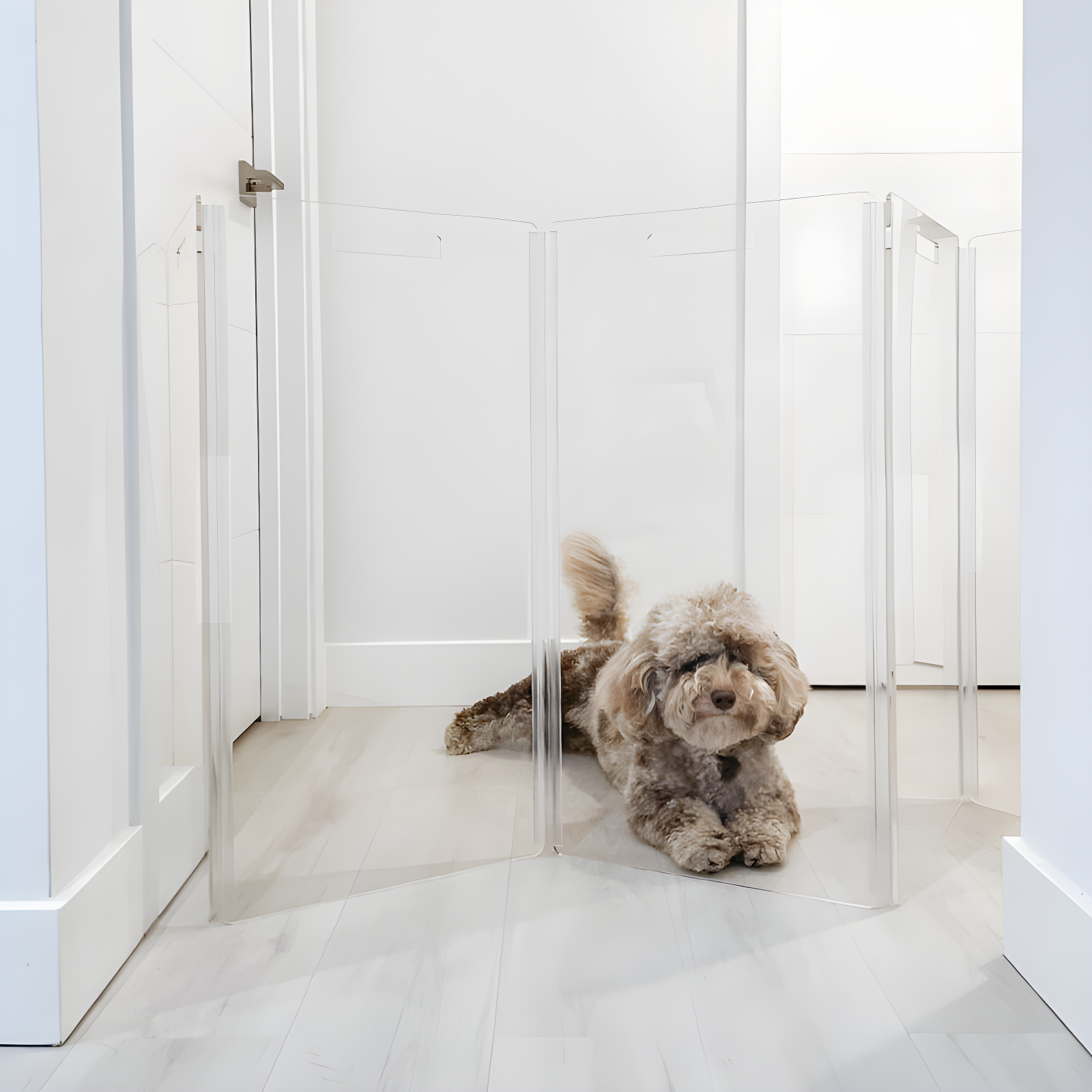 Hiddin Low Clear Freestanding Zig Zag Pet Gate