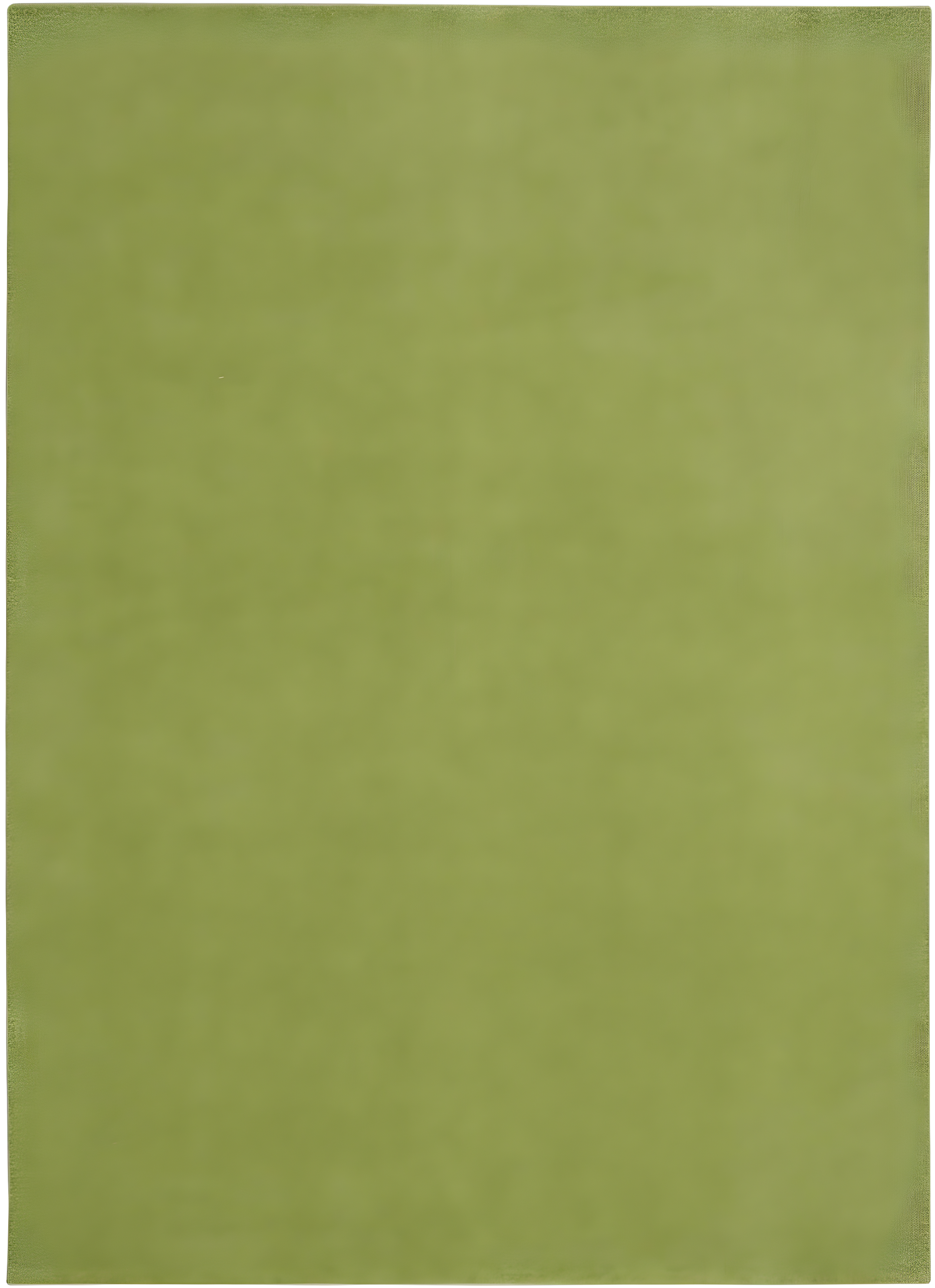 Nourison Nourison Essentials NRE01 Indoor/outdoor Area Rug - Green 6' x 9'