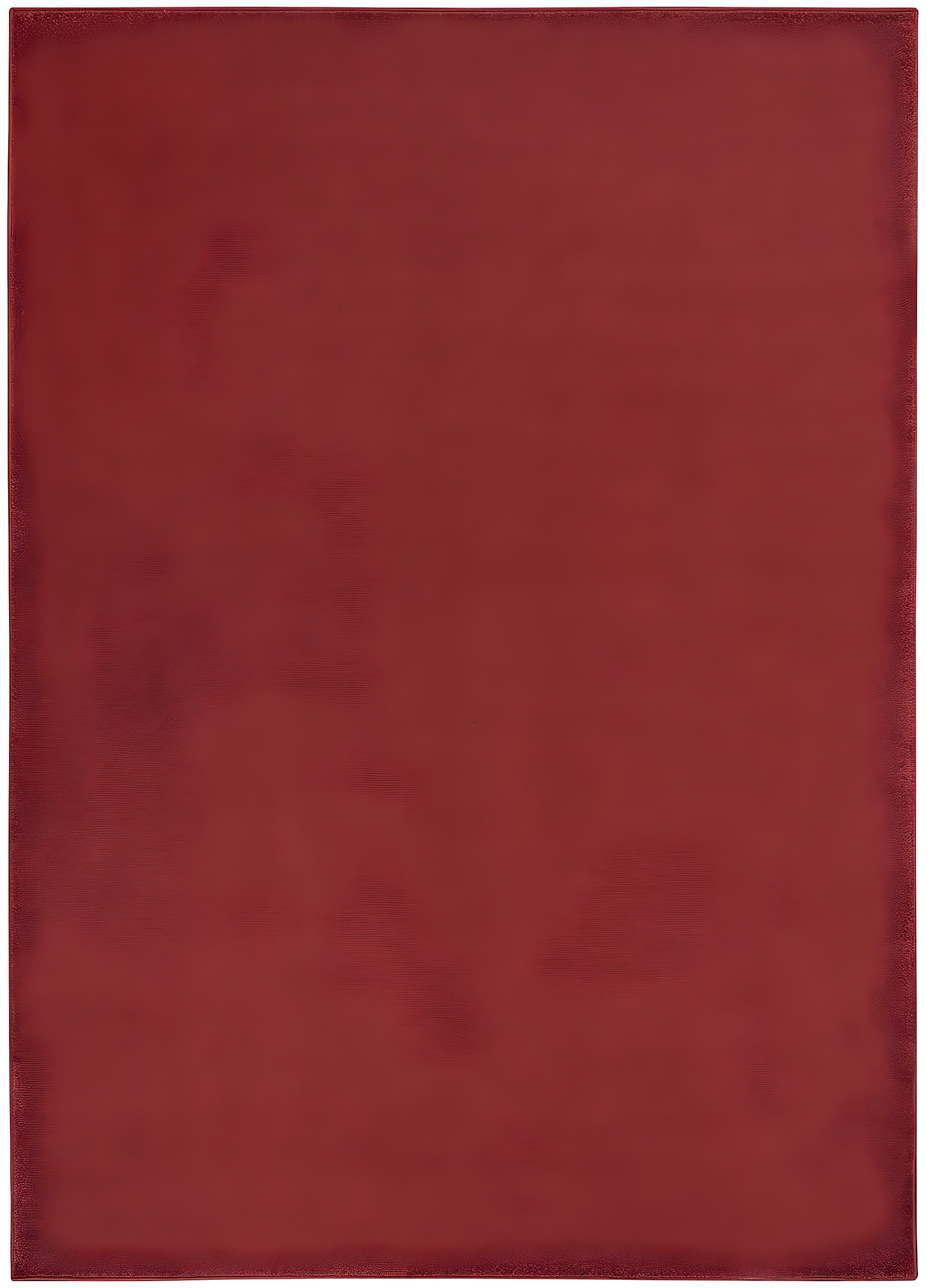 Nourison Essentials Easy Care Indoor Outdoor Area Rug - Brick Red 6' x 9'