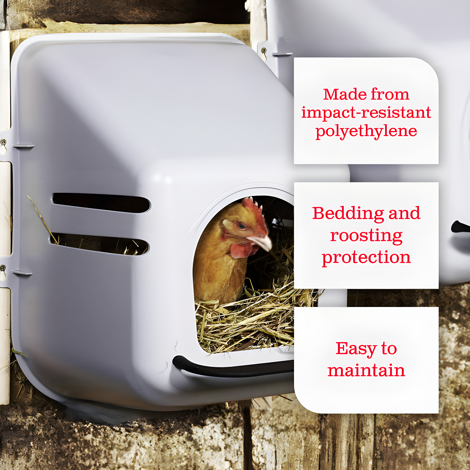 Little Giant Plastic Chicken Nesting Placemat | Wayfair