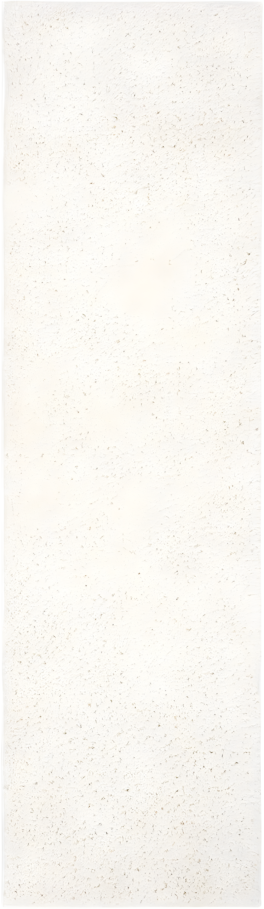 August Shag 900 AUG900 Power Loomed Indoor Runner Rug - Ivory - 2'3"x6' - Safavieh