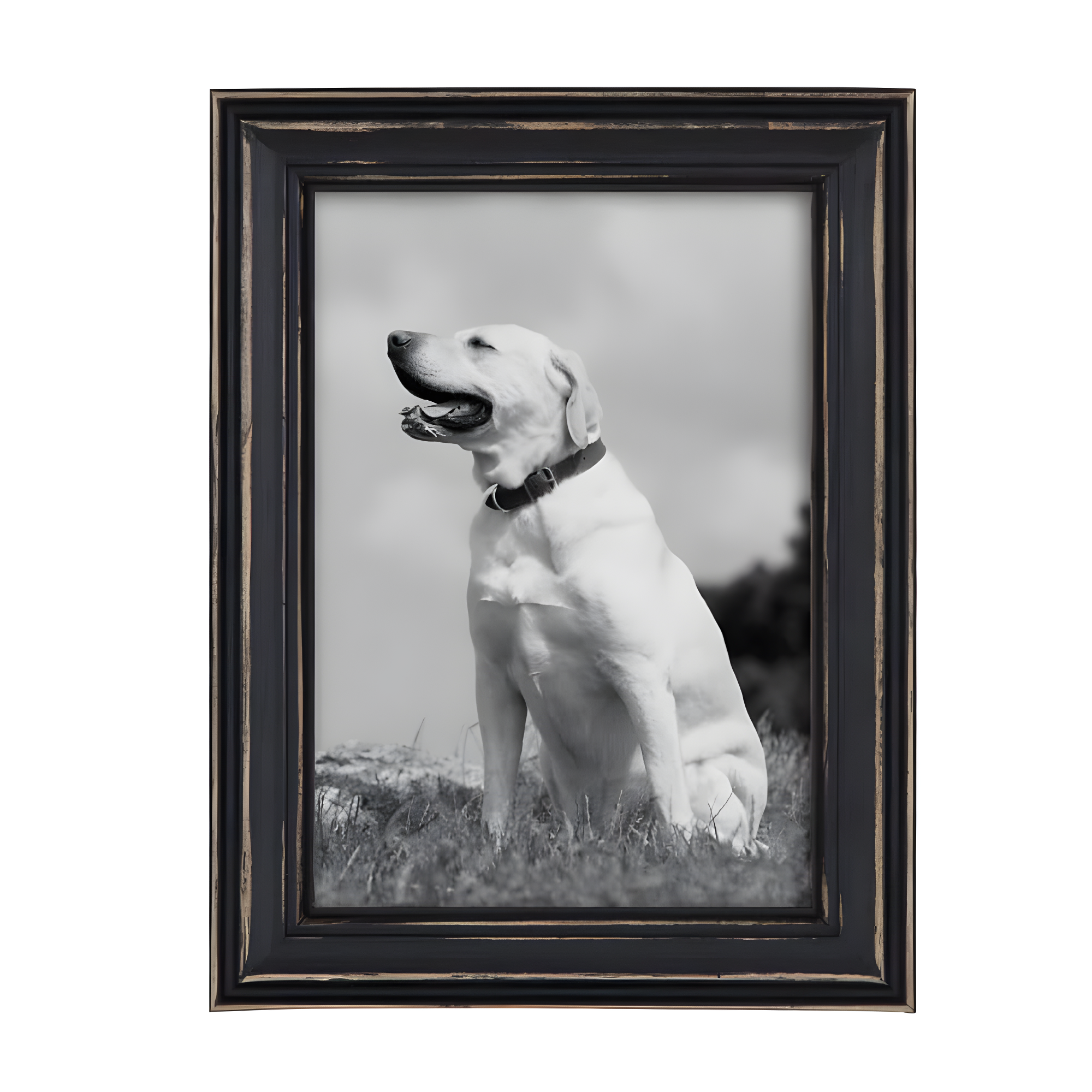 10pc Bordeaux Frame Box Set Black - Kate & Laurel All Things Decor: Wall Display, Modern Style