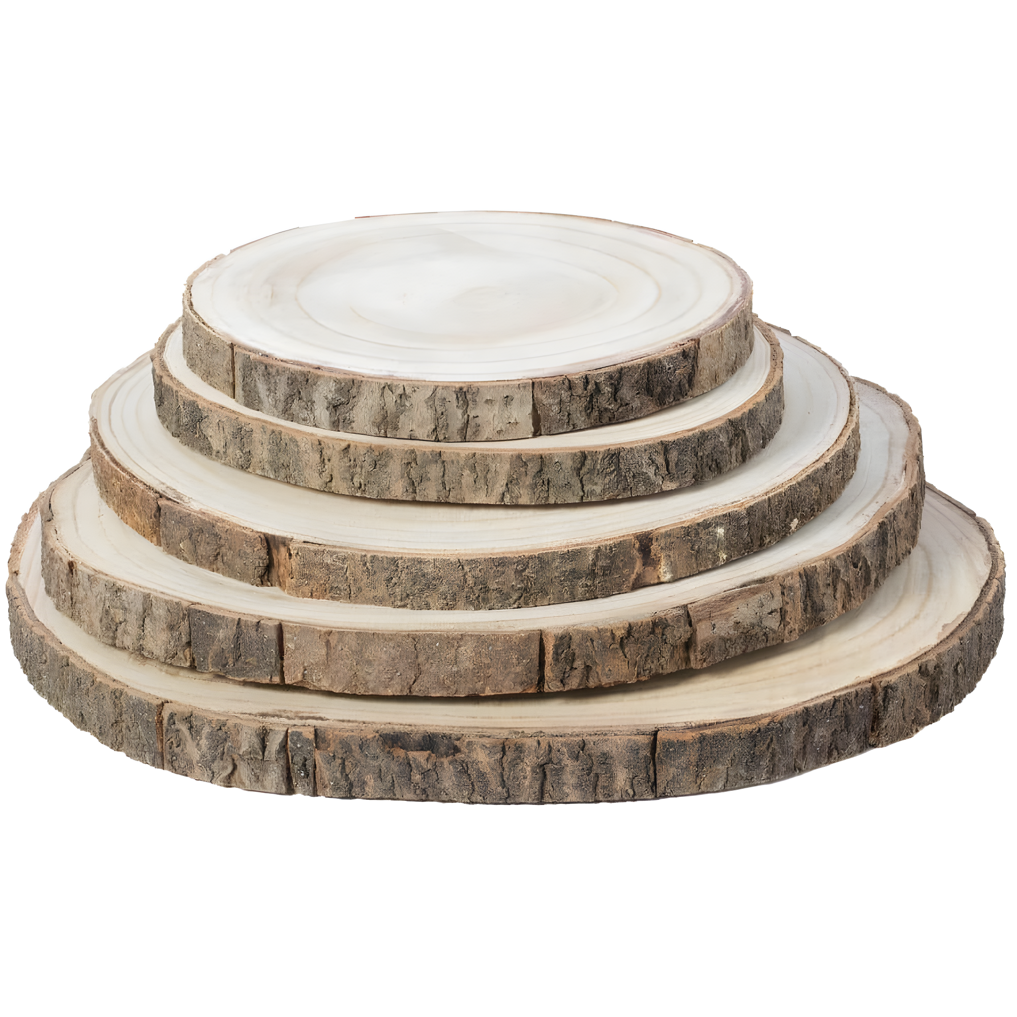 Vintiquewise Barky Natural Wood Slabs Rustic Ornament Slice Tray Table Charger - Set of 5