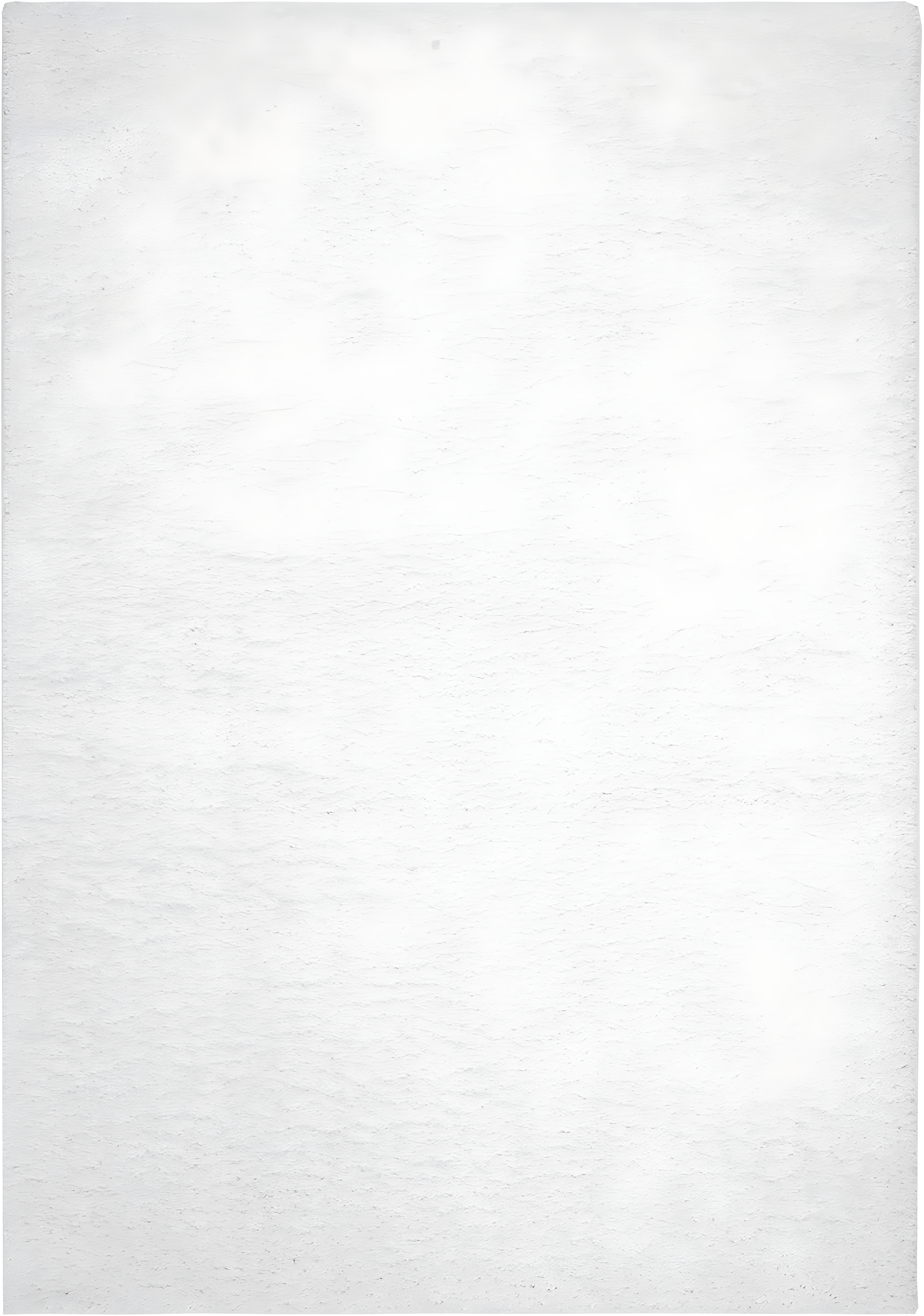 SAFAVIEH August Carlene Solid Plush Shag Area Rug, White, 4' x 6'