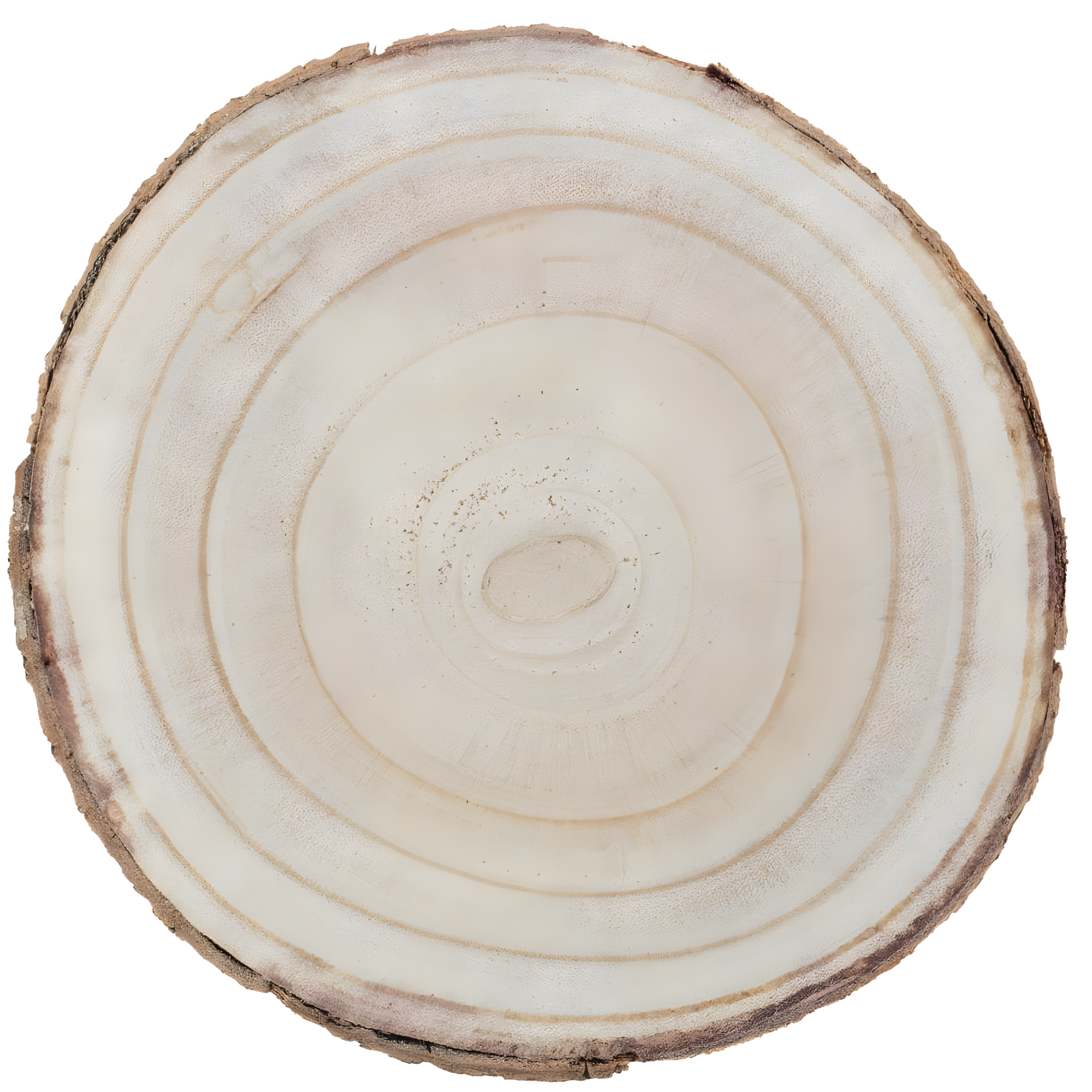 Vintiquewise Barky Natural Wood Slabs Rustic Ornament Slice Tray Table Charger 10" Diameter