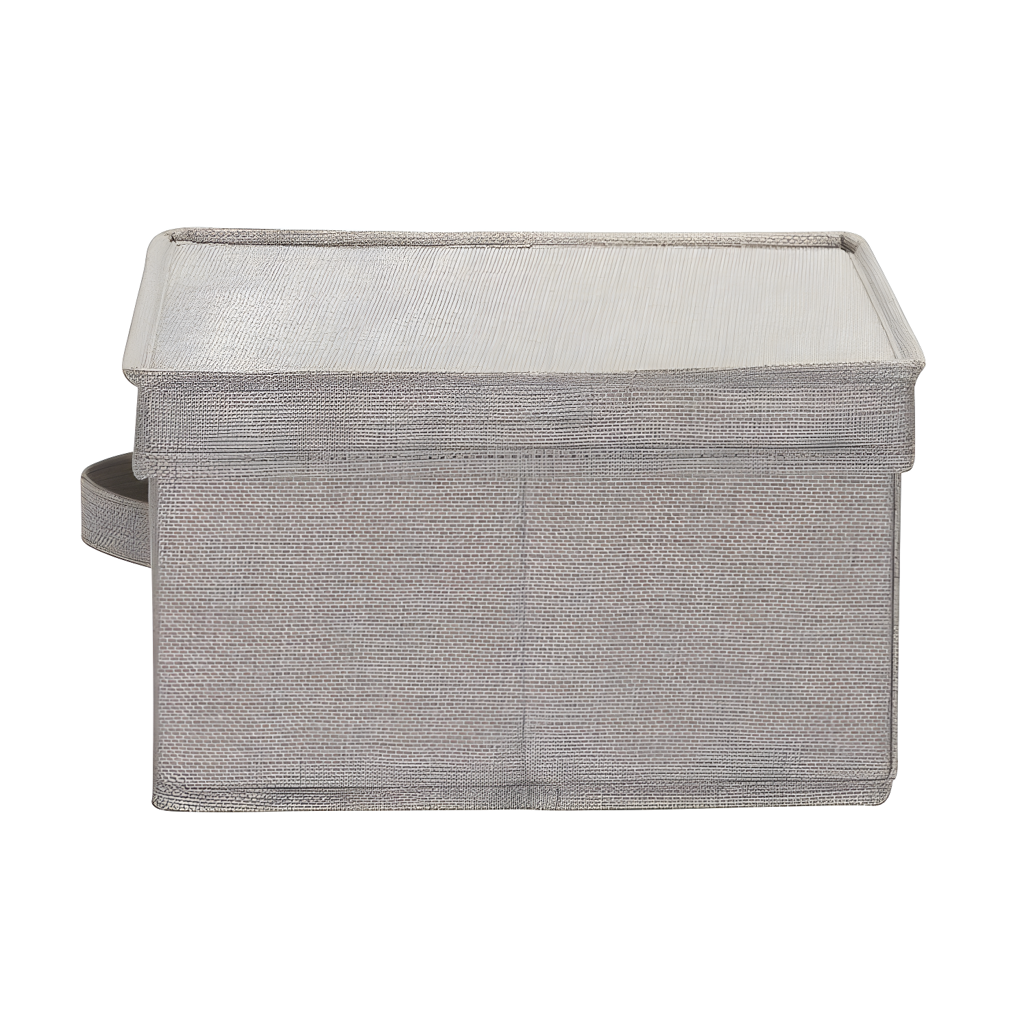 Household Essentials Fabric Bin (Set of 2)