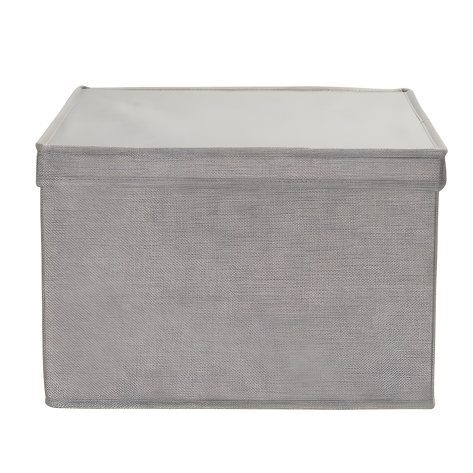 Household Essentials Fabric Bin (Set of 2)