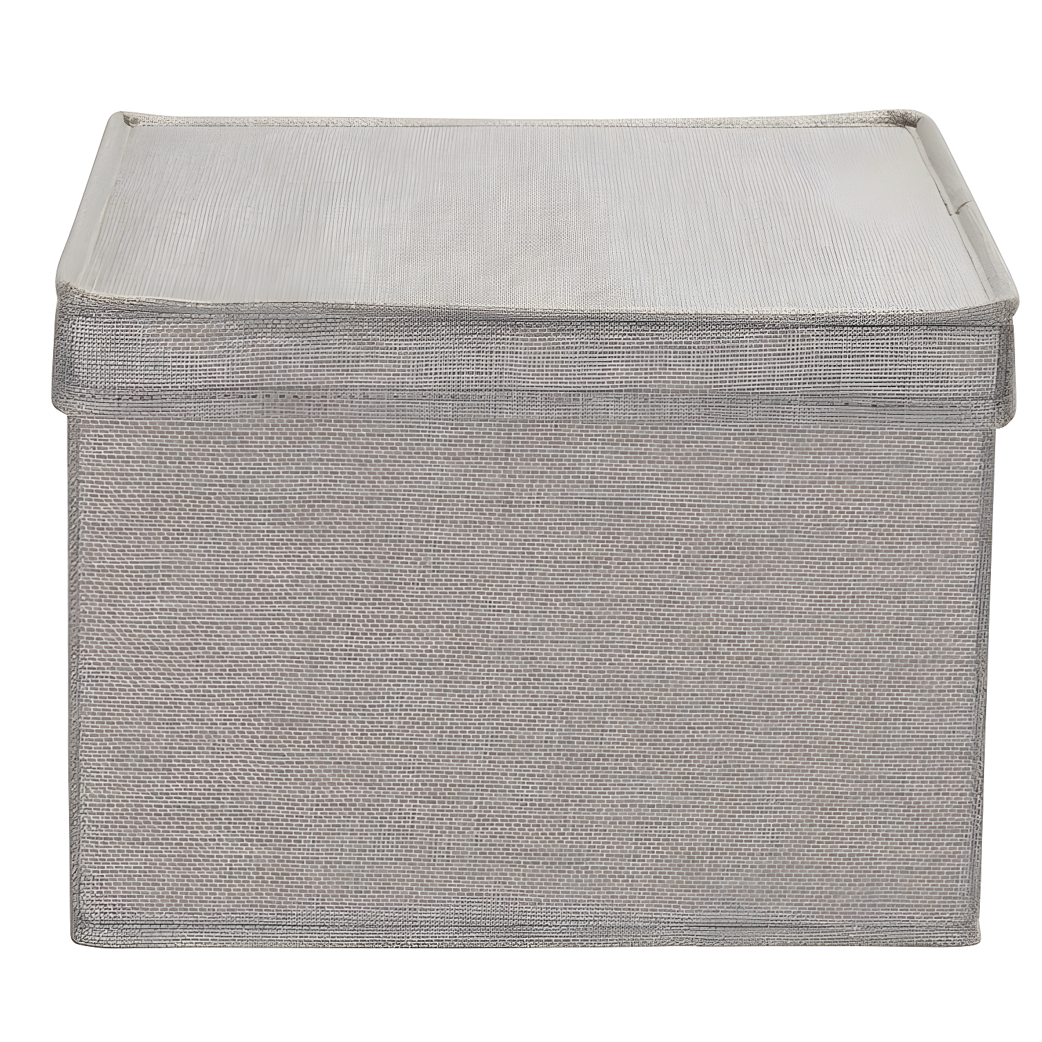 Household Essentials Fabric Bin (Set of 2)
