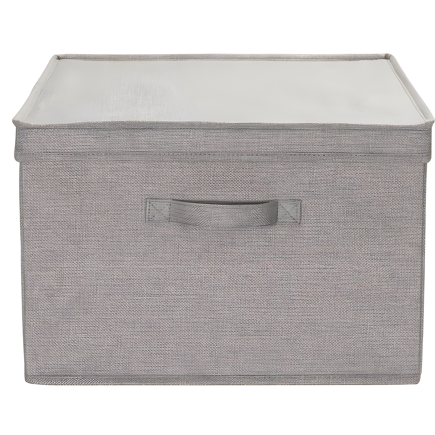 Household Essentials Fabric Bin (Set of 2)