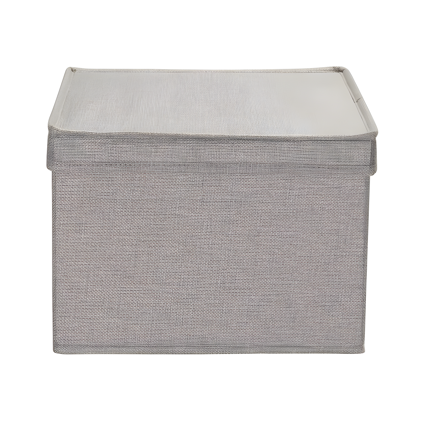 Household Essentials Fabric Bin (Set of 2)