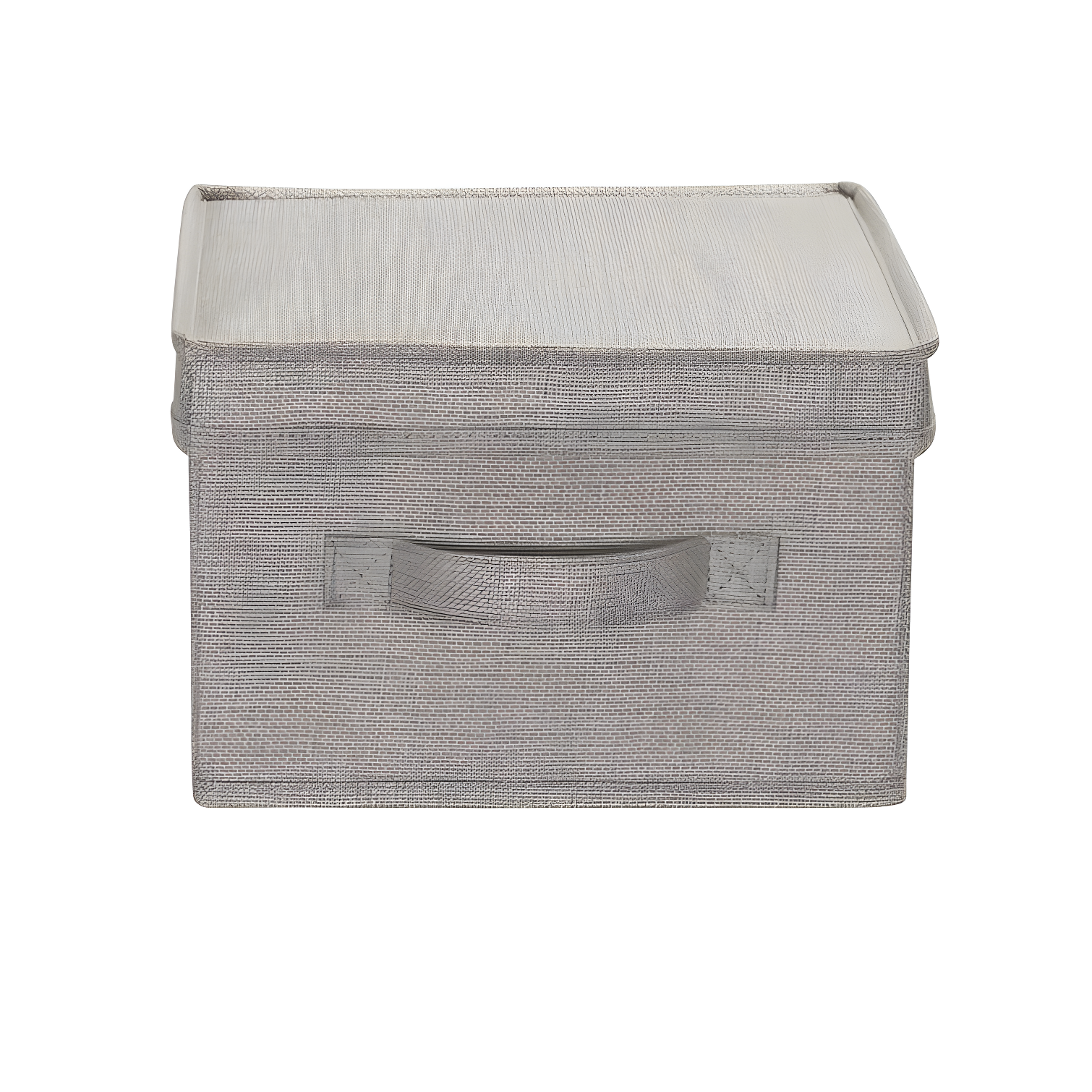Household Essentials Fabric Bin (Set of 2)