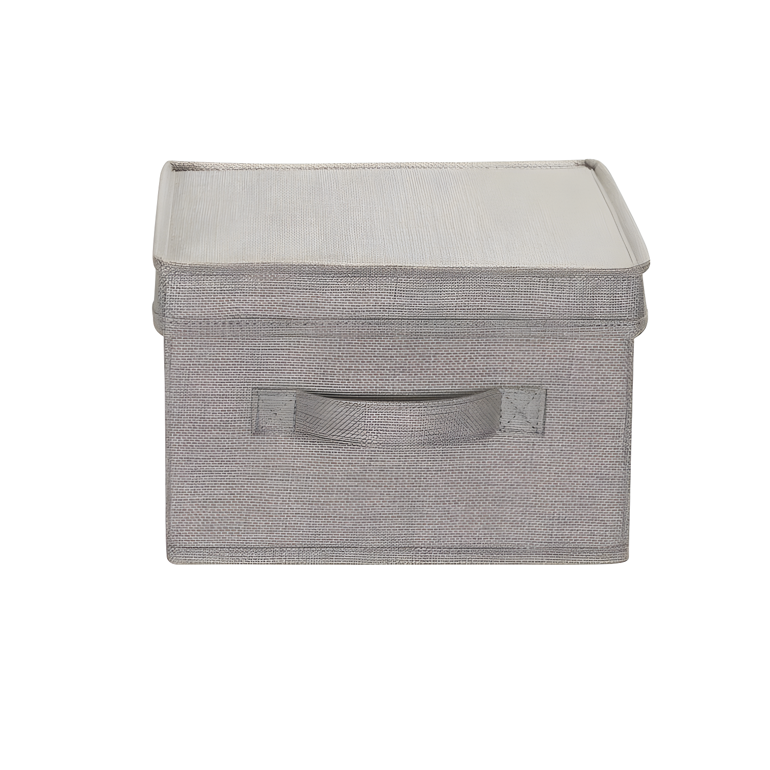 Household Essentials Fabric Bin (Set of 2)