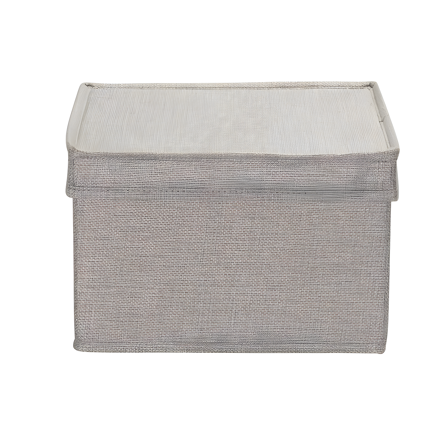 Household Essentials Fabric Bin (Set of 2)