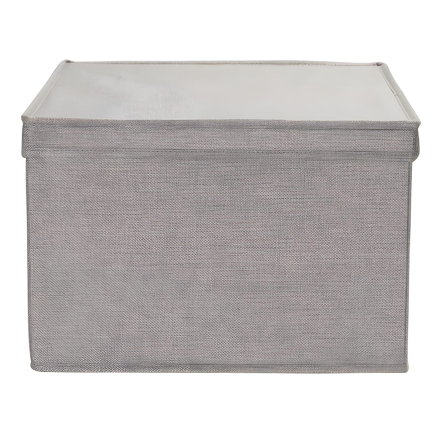 Household Essentials Fabric Bin (Set of 2)