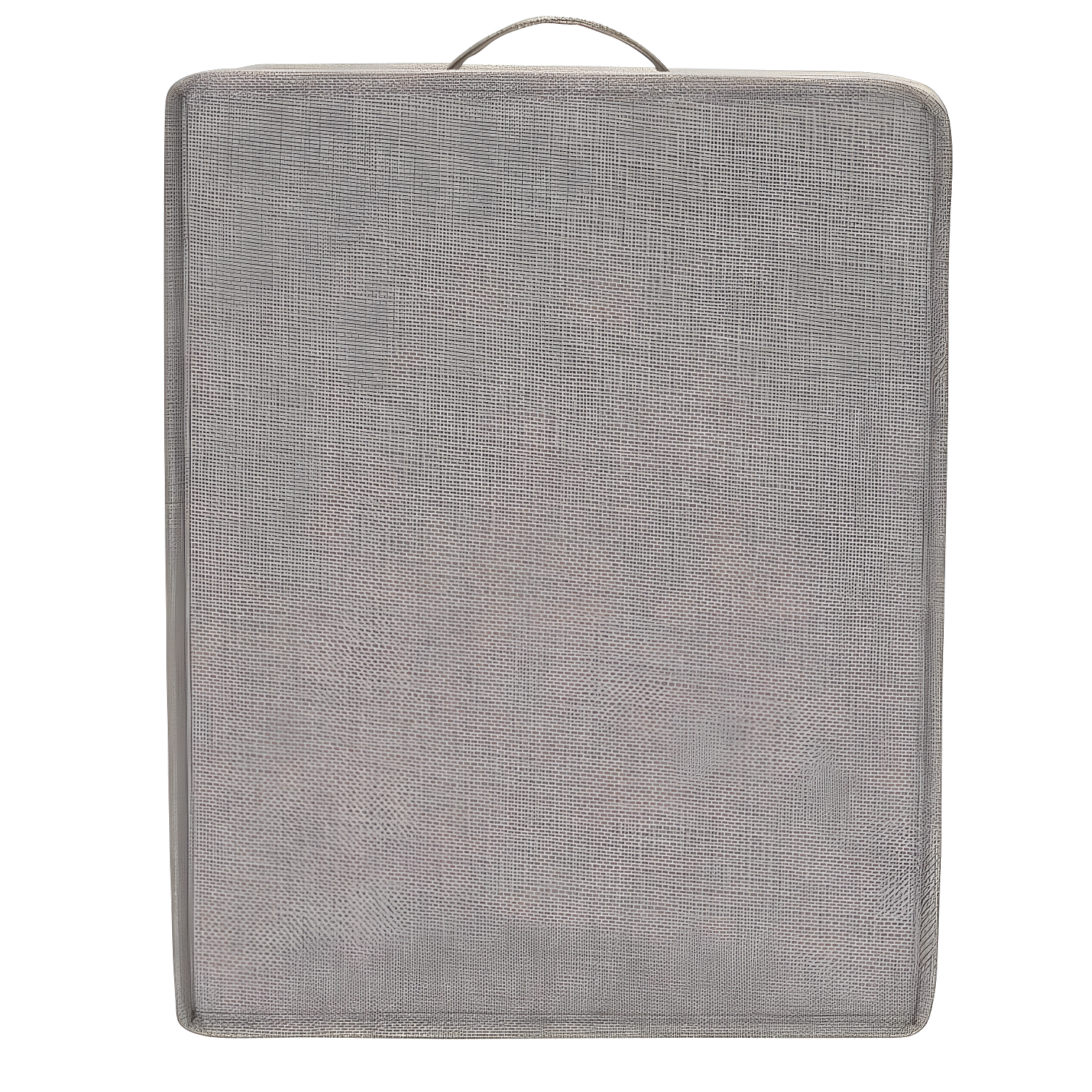 Household Essentials Fabric Bin (Set of 2)