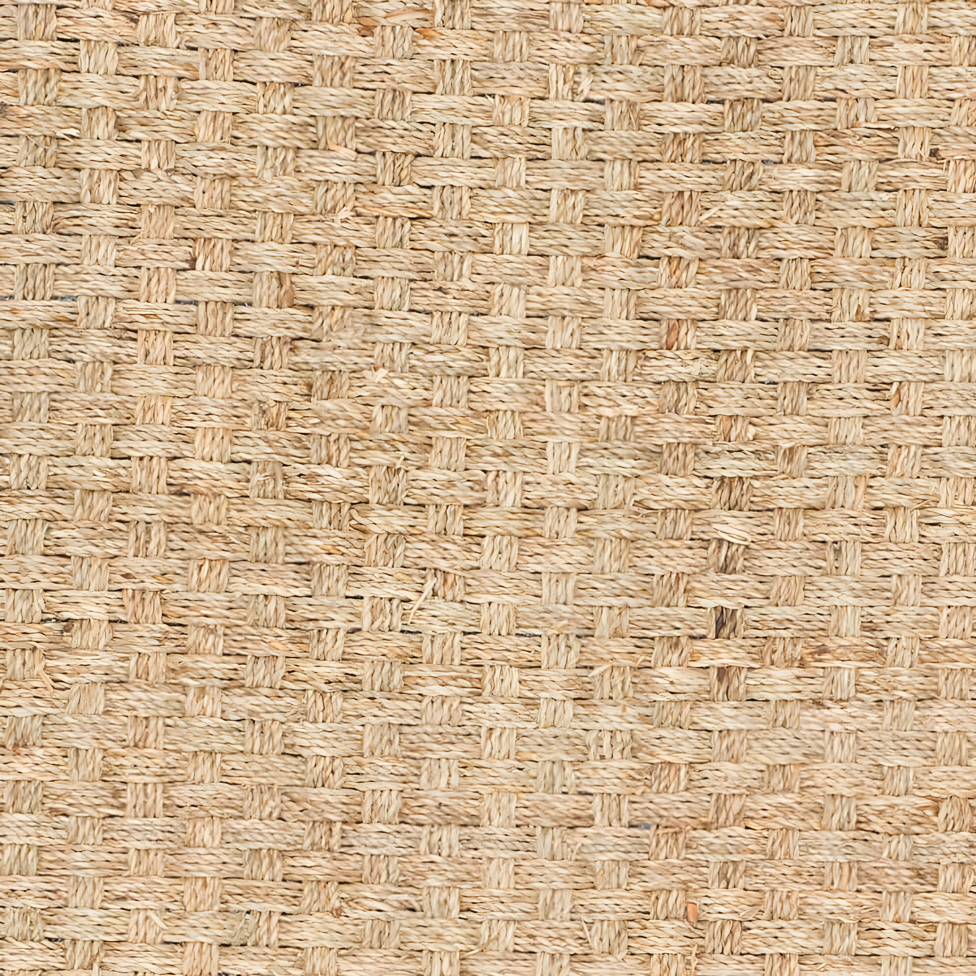Natural Fiber NF114 Power Loomed Indoor Accent Rug - Natural/Blue - 3'x5' - Safavieh.
